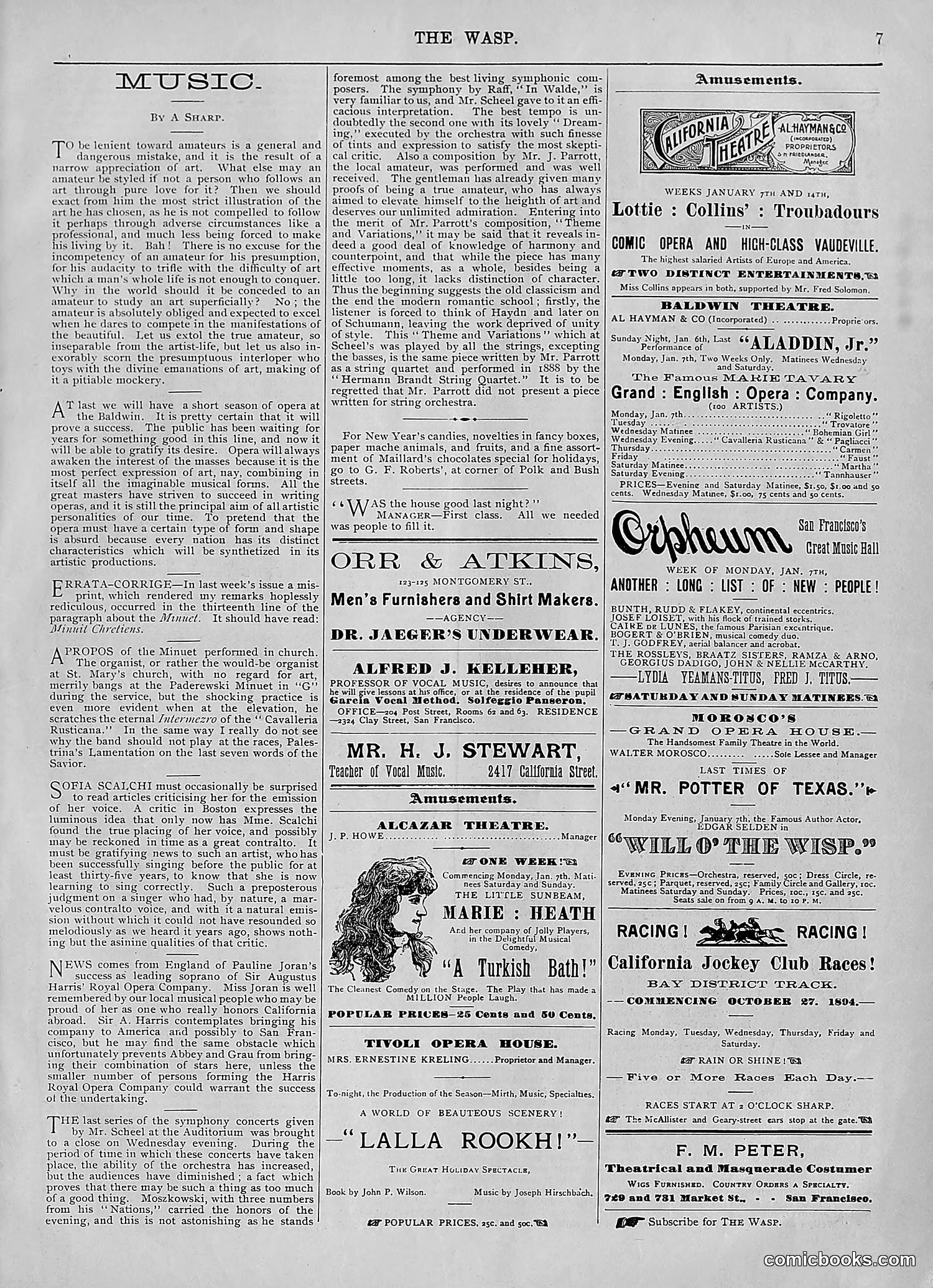 The Wasp — 1895 — page 14 of 1100