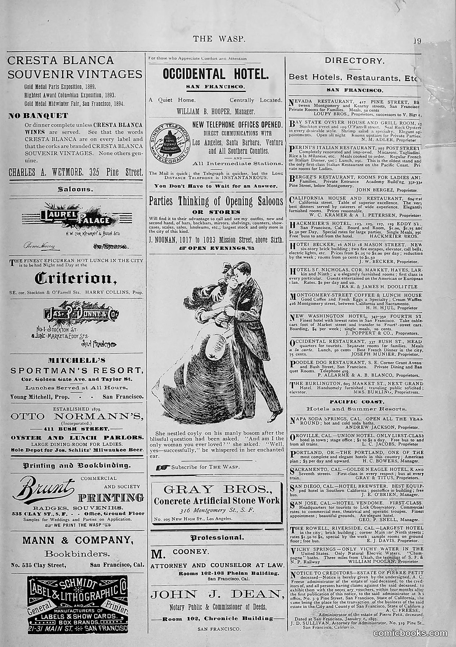 The Wasp — 1895 — page 144 of 1100