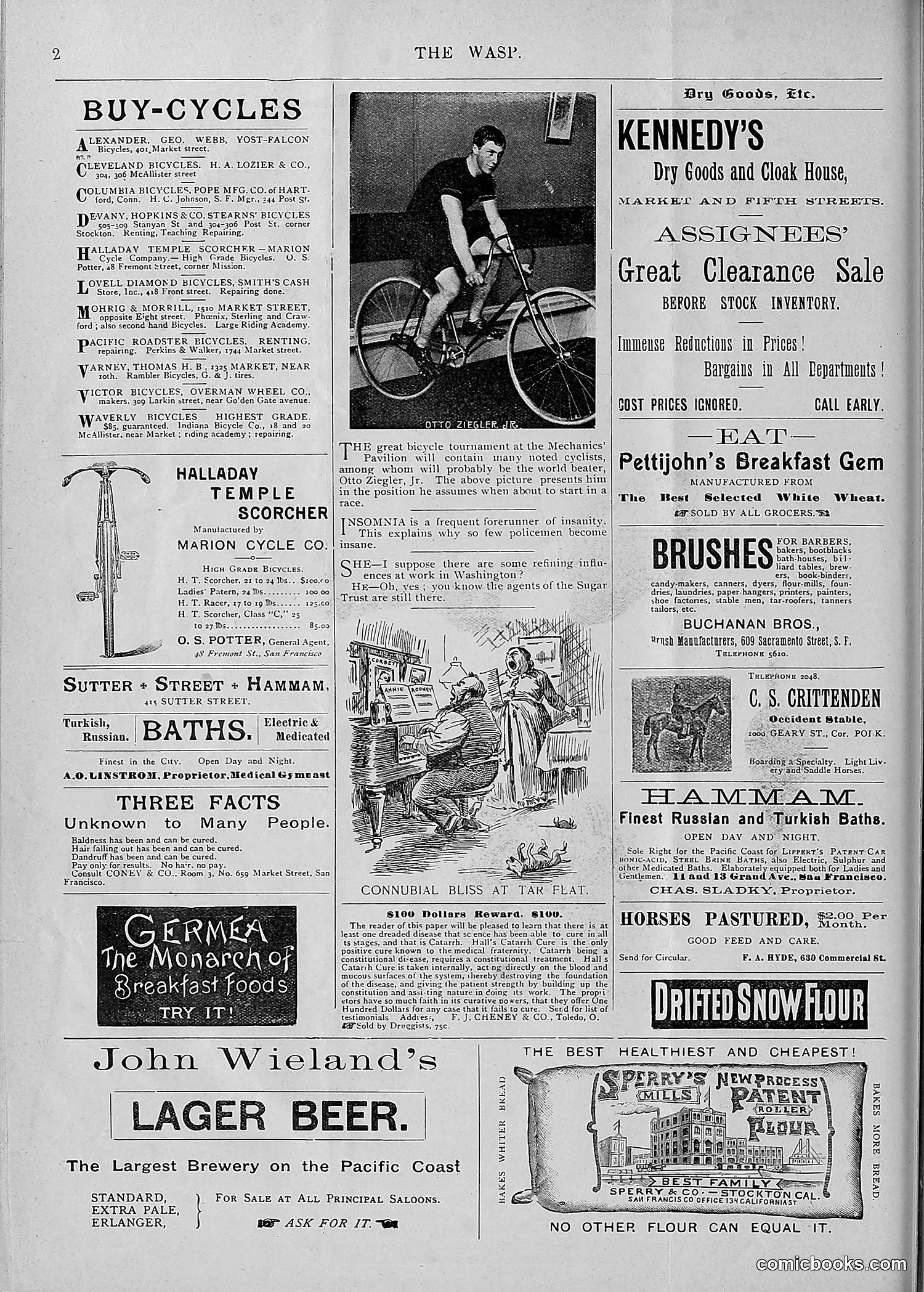 The Wasp — 1895 — page 147 of 1100