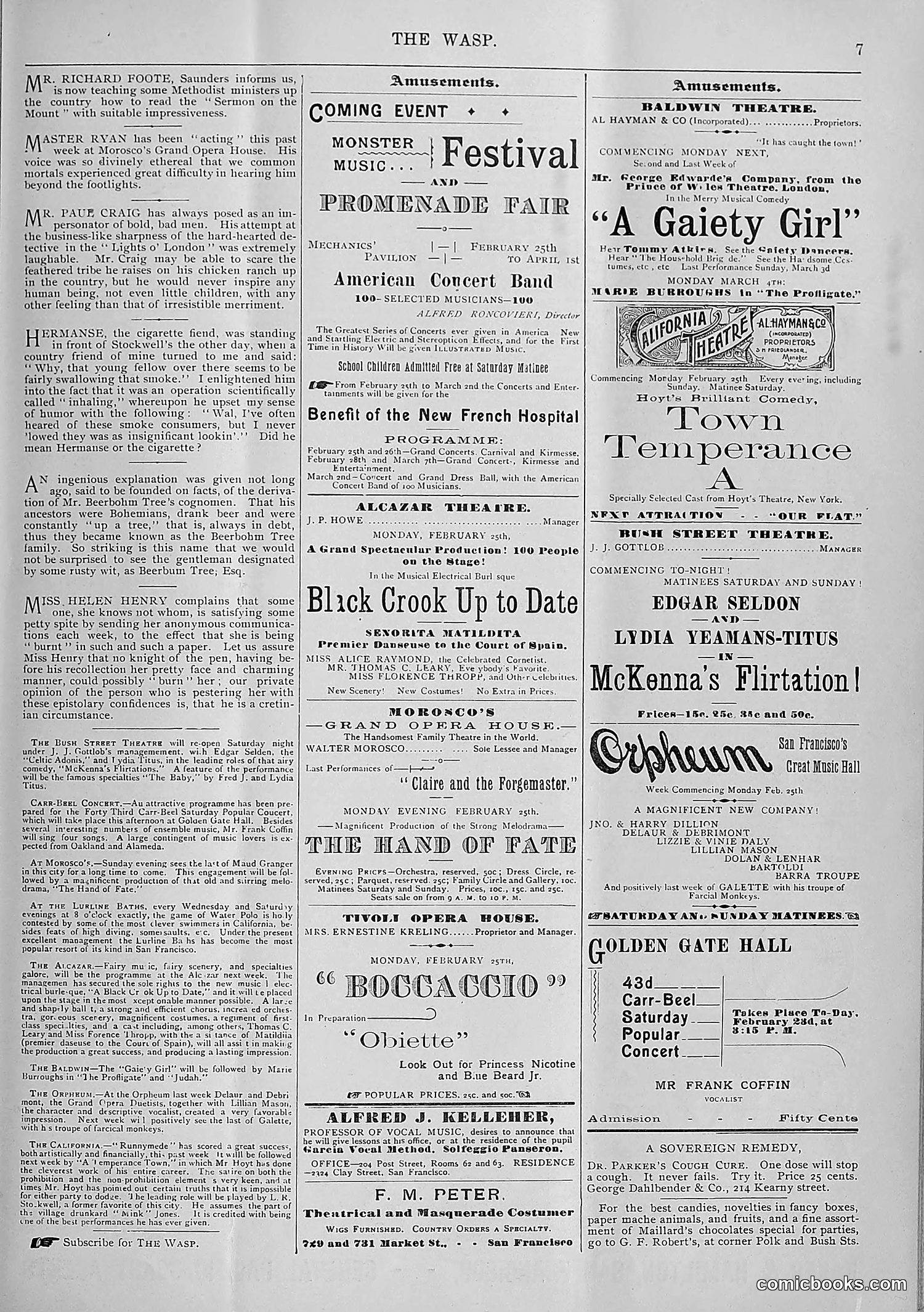 The Wasp — 1895 — page 152 of 1100