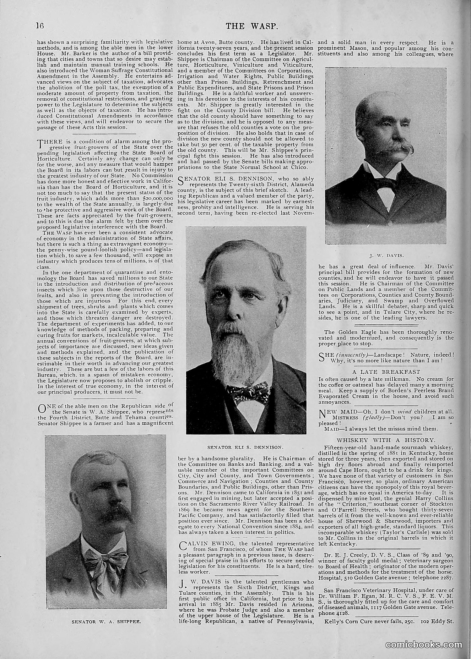 The Wasp — 1895 — page 161 of 1100