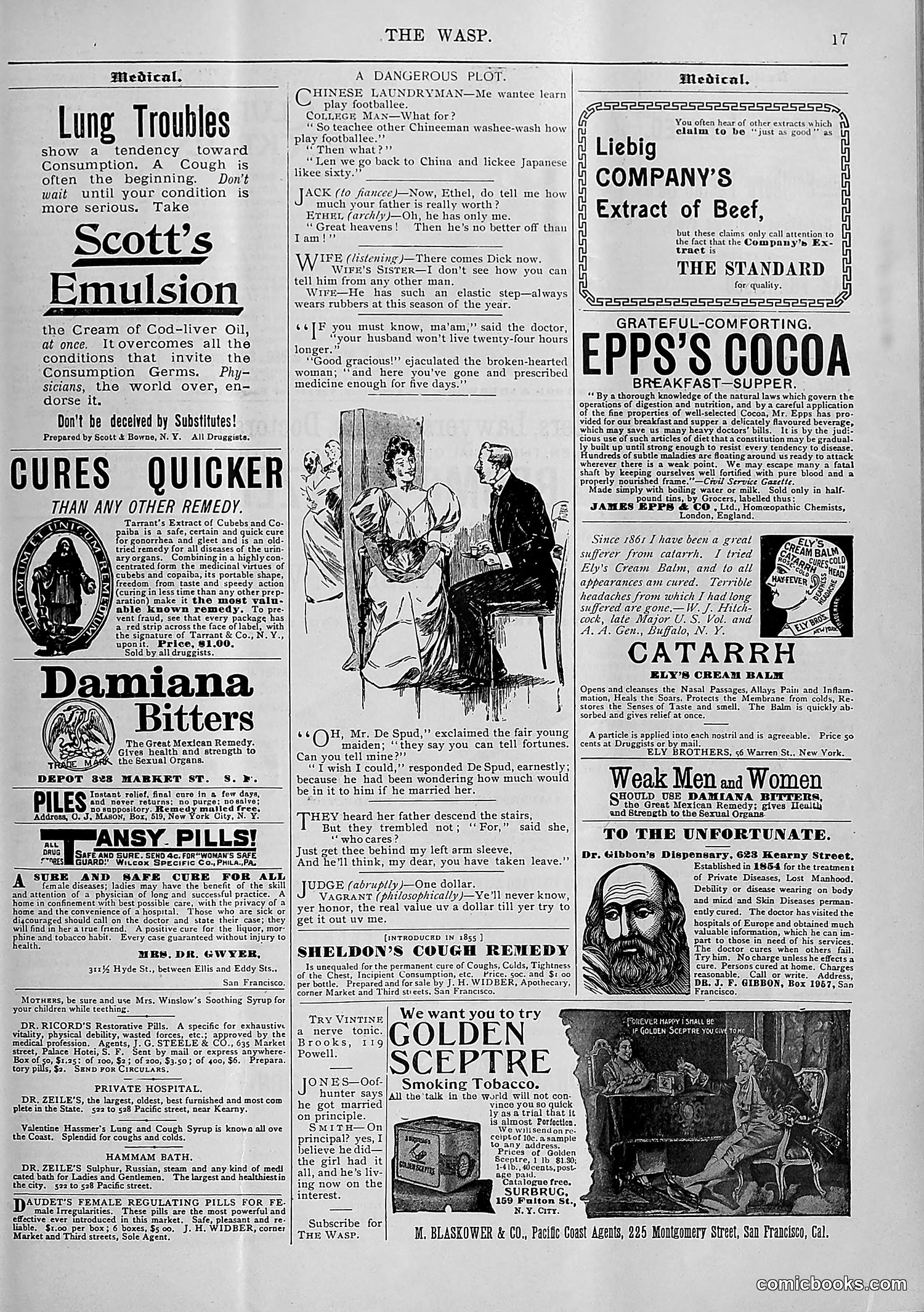 The Wasp — 1895 — page 162 of 1100