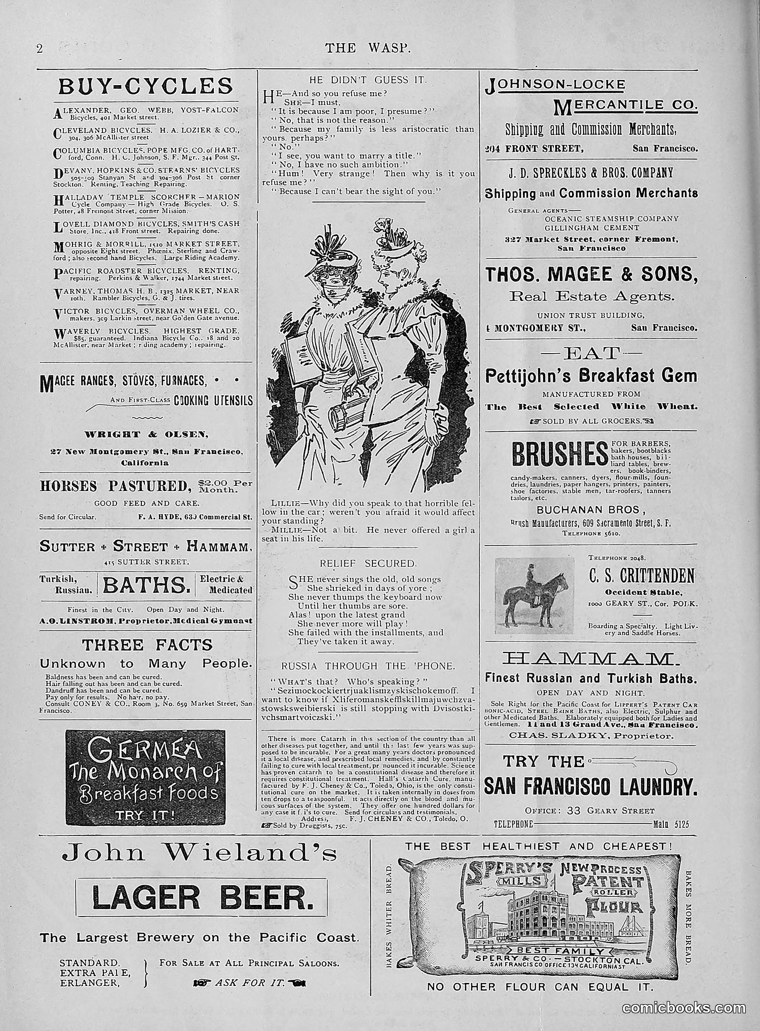 The Wasp — 1895 — page 187 of 1100