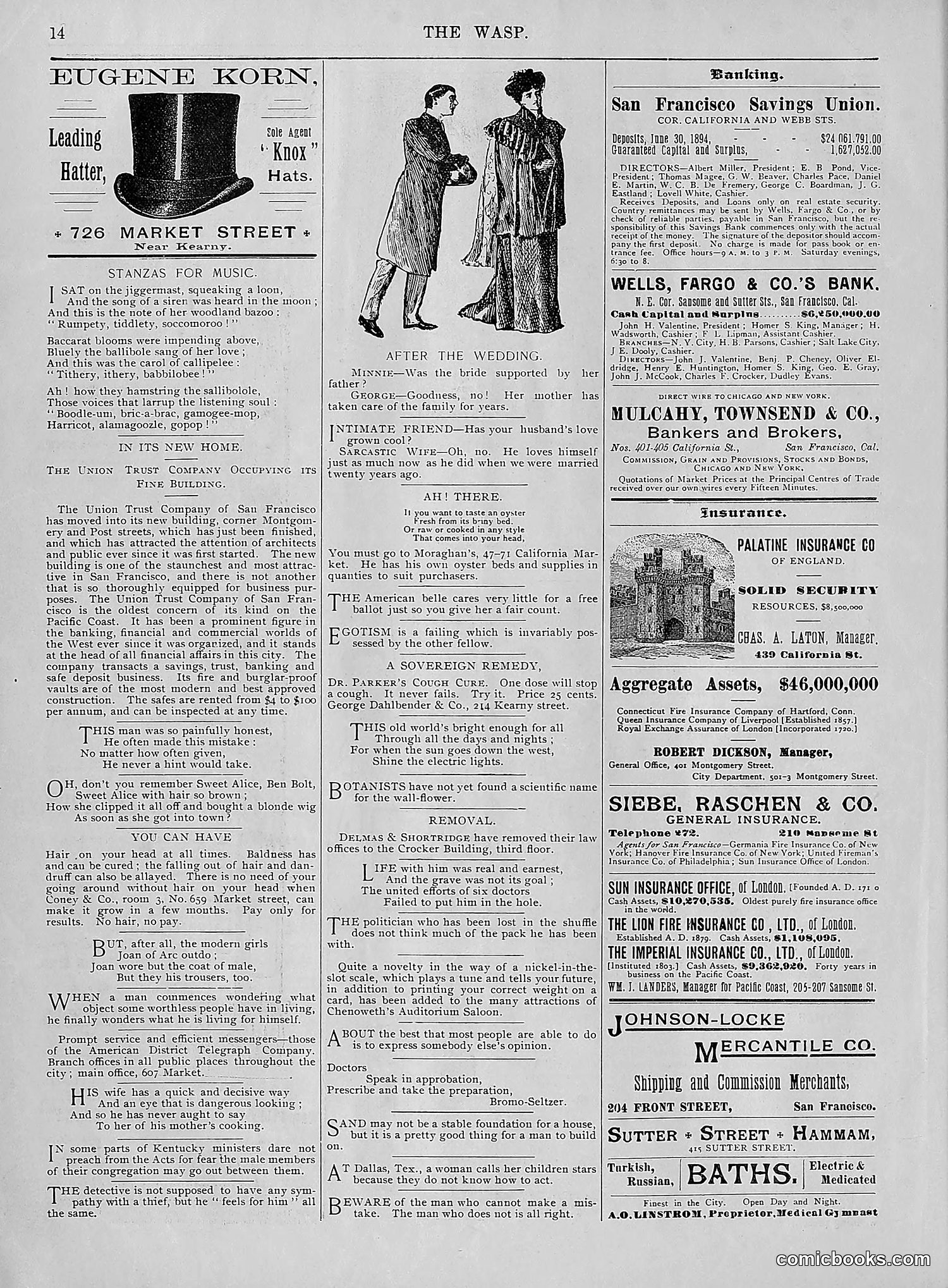 The Wasp — 1895 — page 21 of 1100