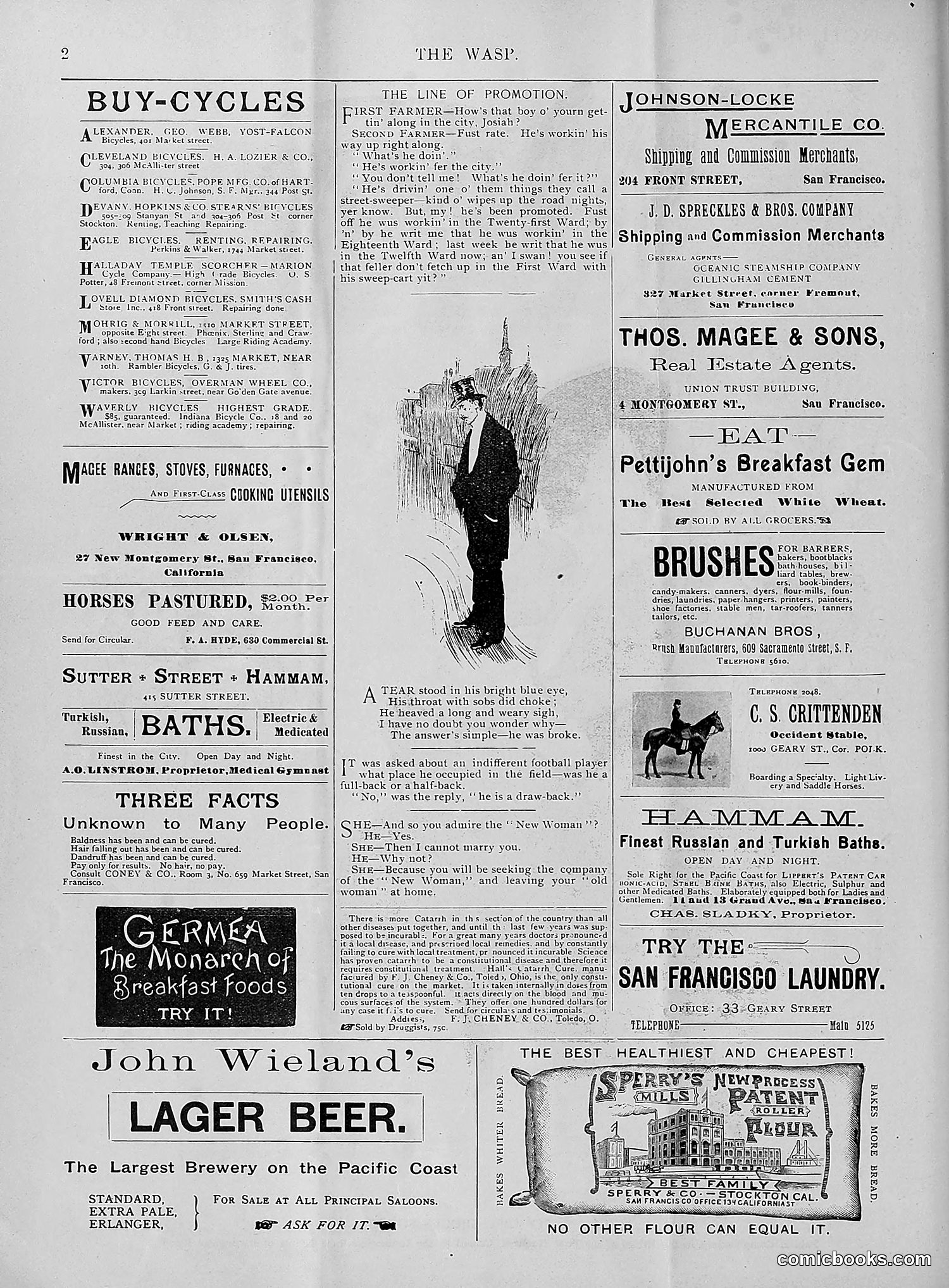 The Wasp — 1895 — page 207 of 1100