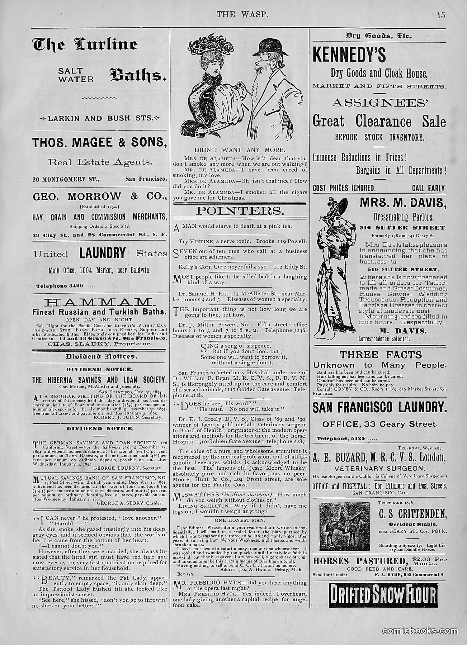 The Wasp — 1895 — page 22 of 1100