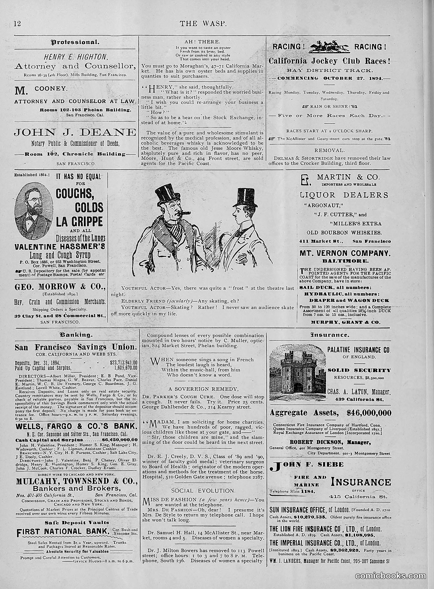 The Wasp — 1895 — page 217 of 1100