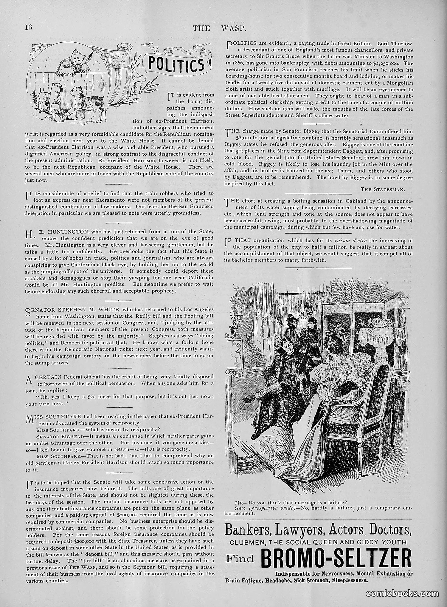 The Wasp — 1895 — page 221 of 1100