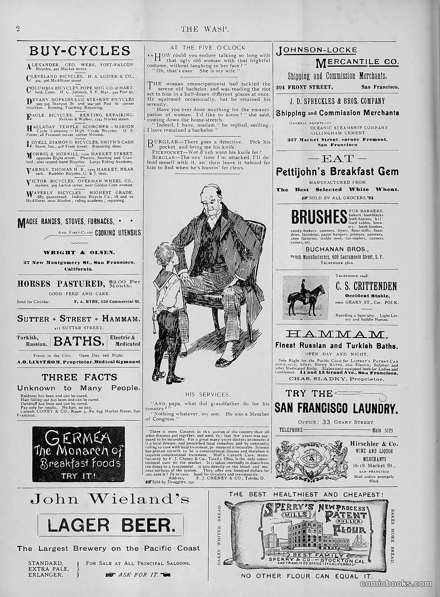 The Wasp — 1895 — page 227 of 1100