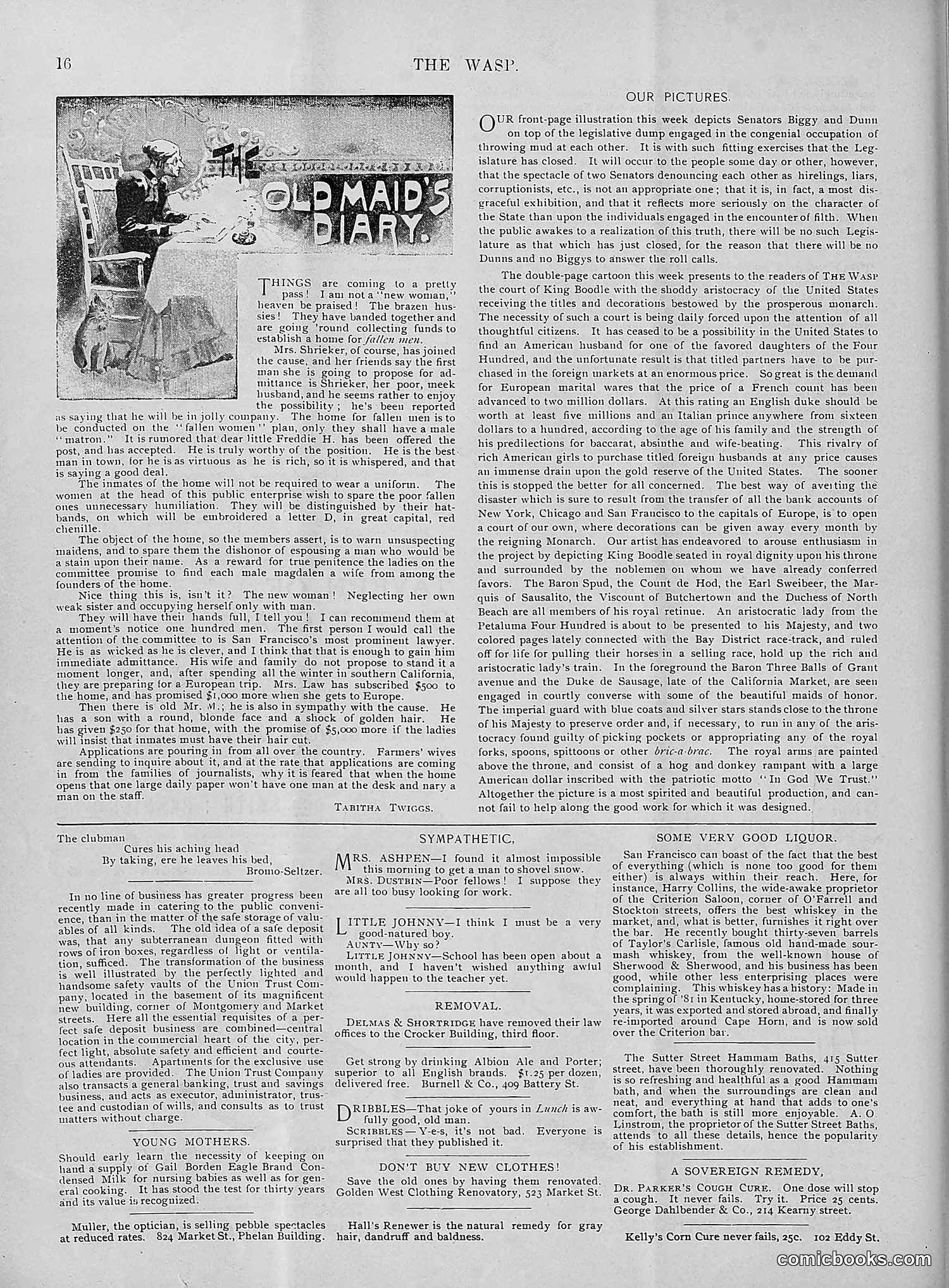 The Wasp — 1895 — page 241 of 1100