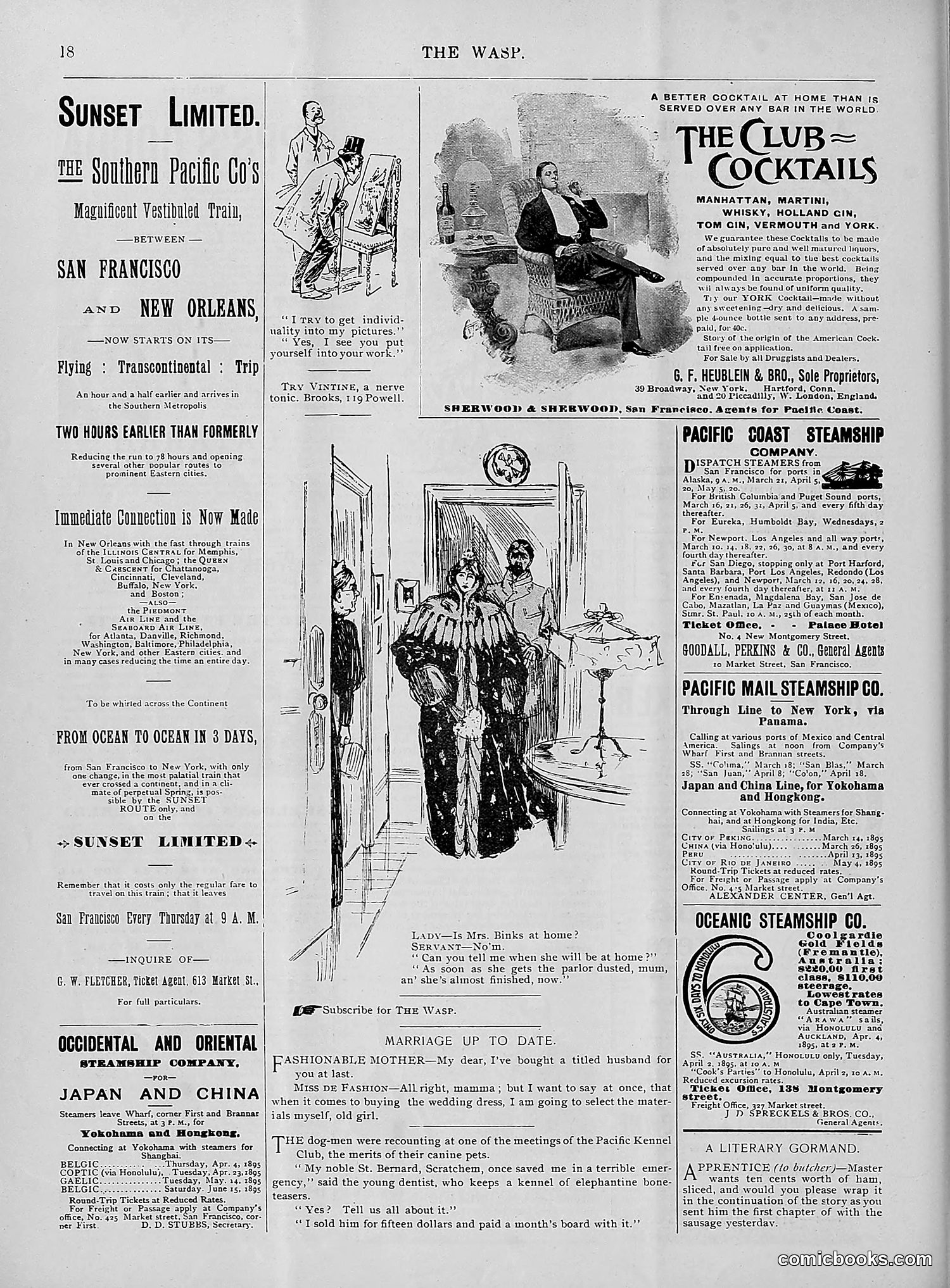 The Wasp — 1895 — page 243 of 1100
