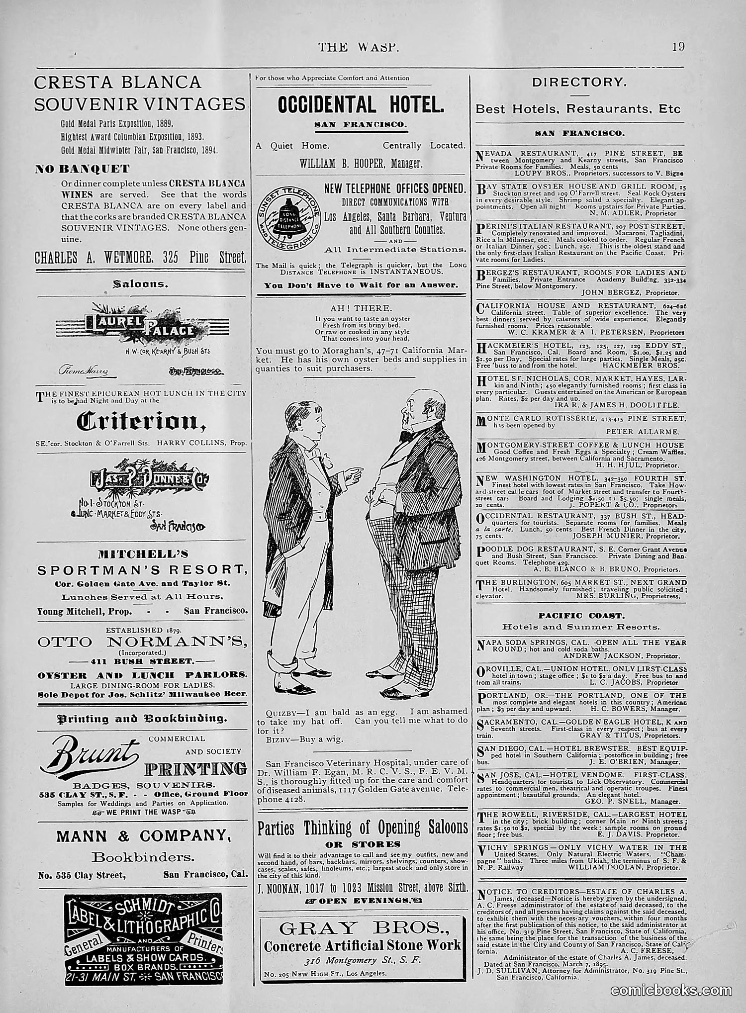 The Wasp — 1895 — page 244 of 1100