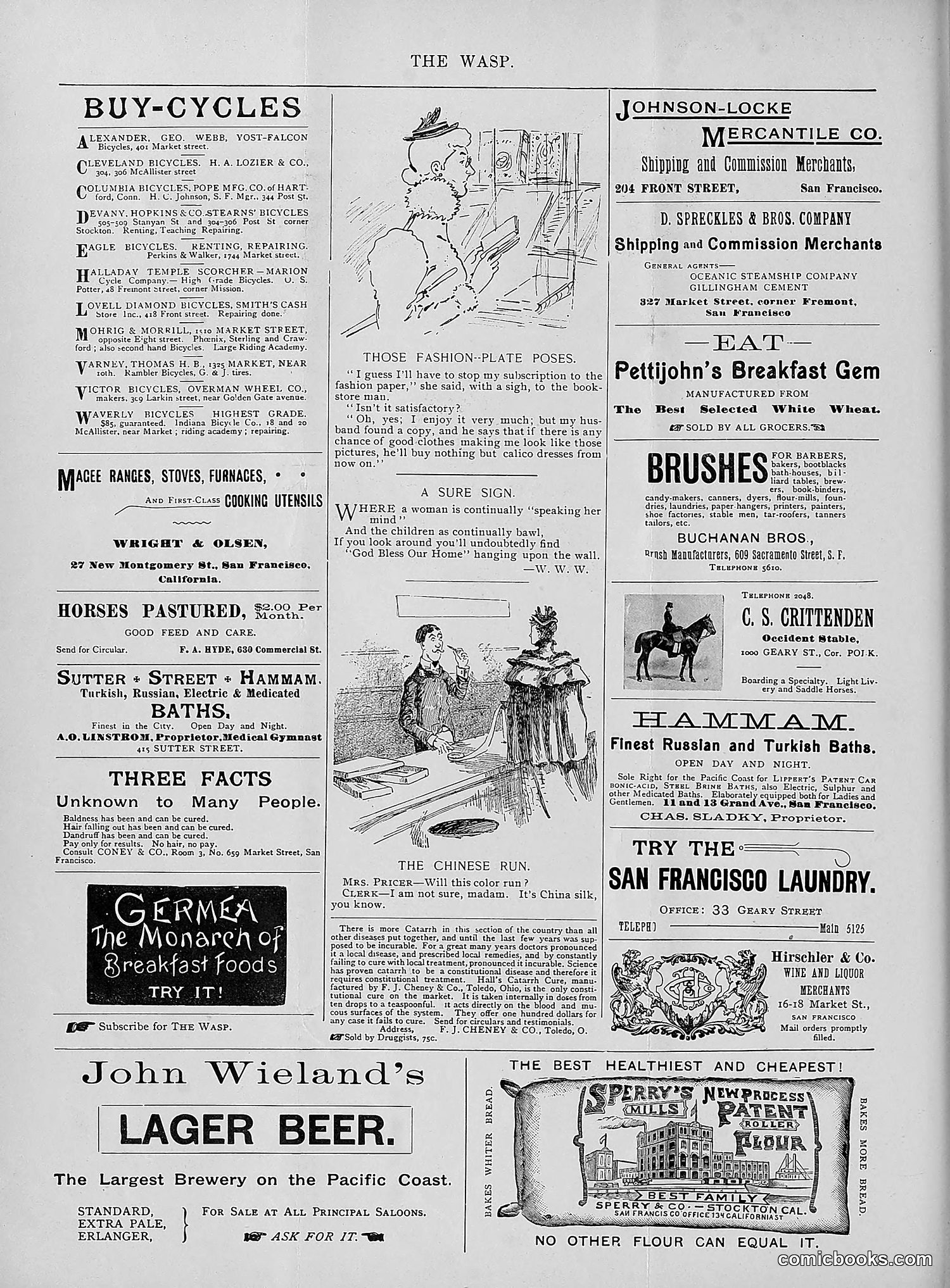 The Wasp — 1895 — page 247 of 1100