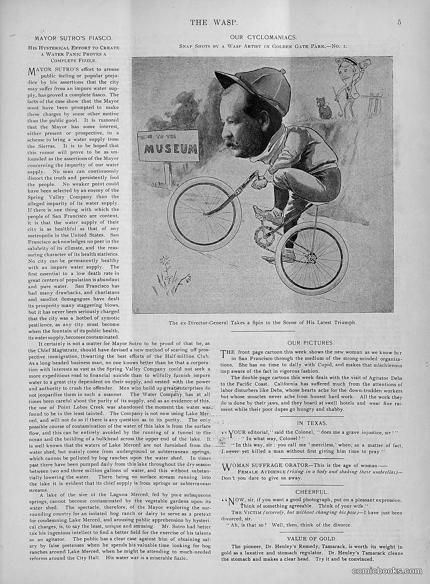 The Wasp — 1895 — page 250 of 1100