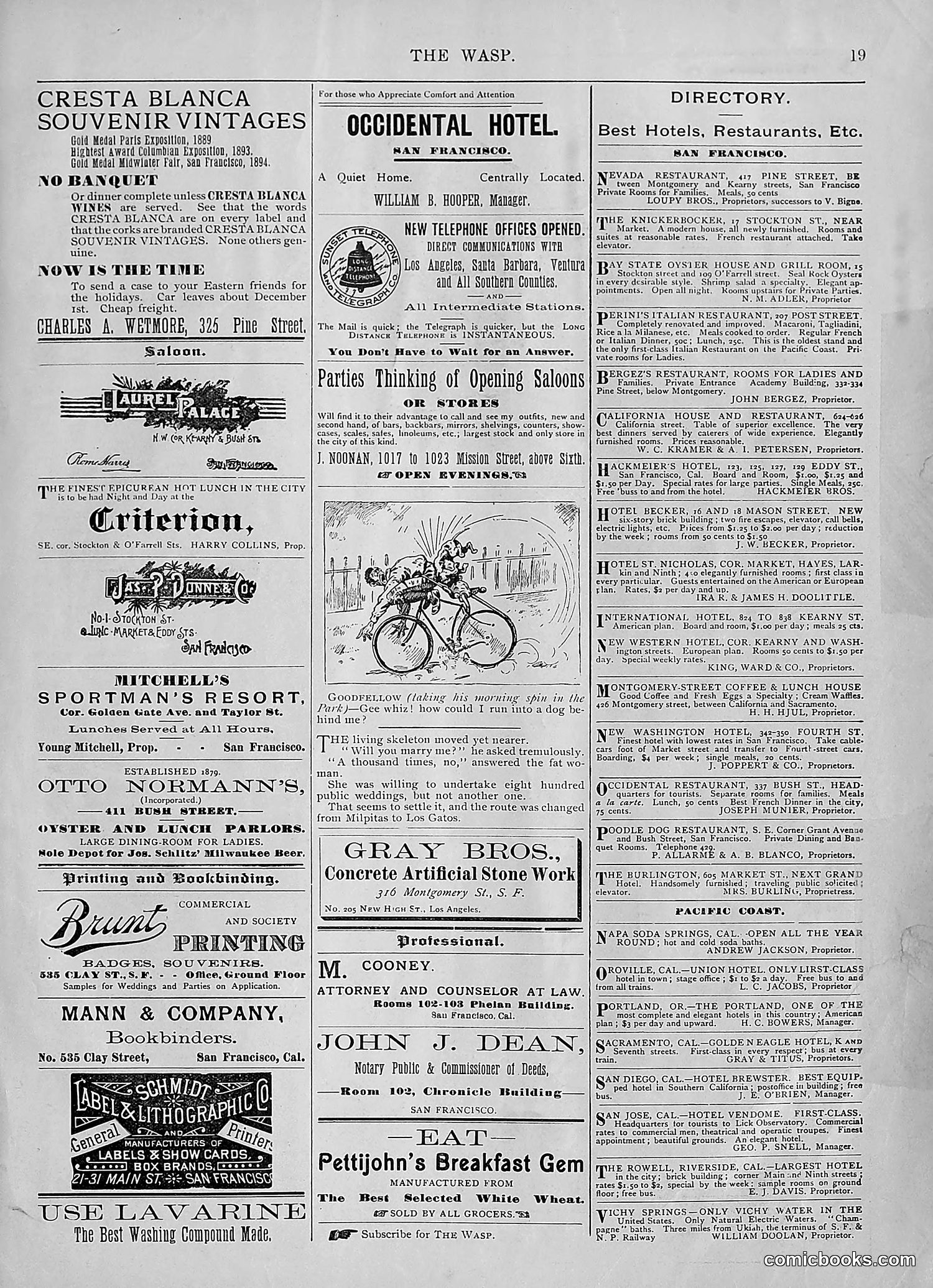 The Wasp — 1895 — page 26 of 1100