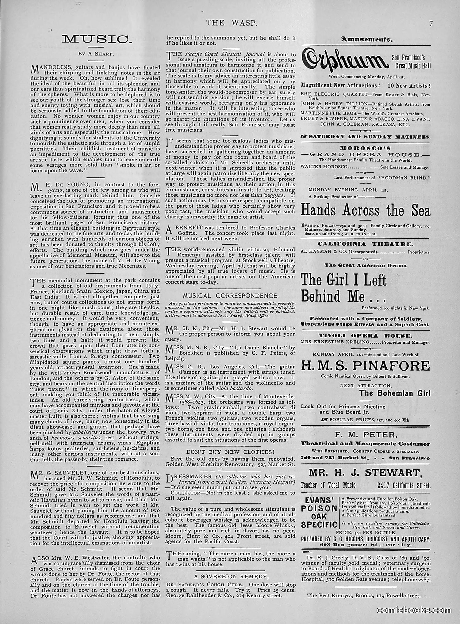 The Wasp — 1895 — page 252 of 1100