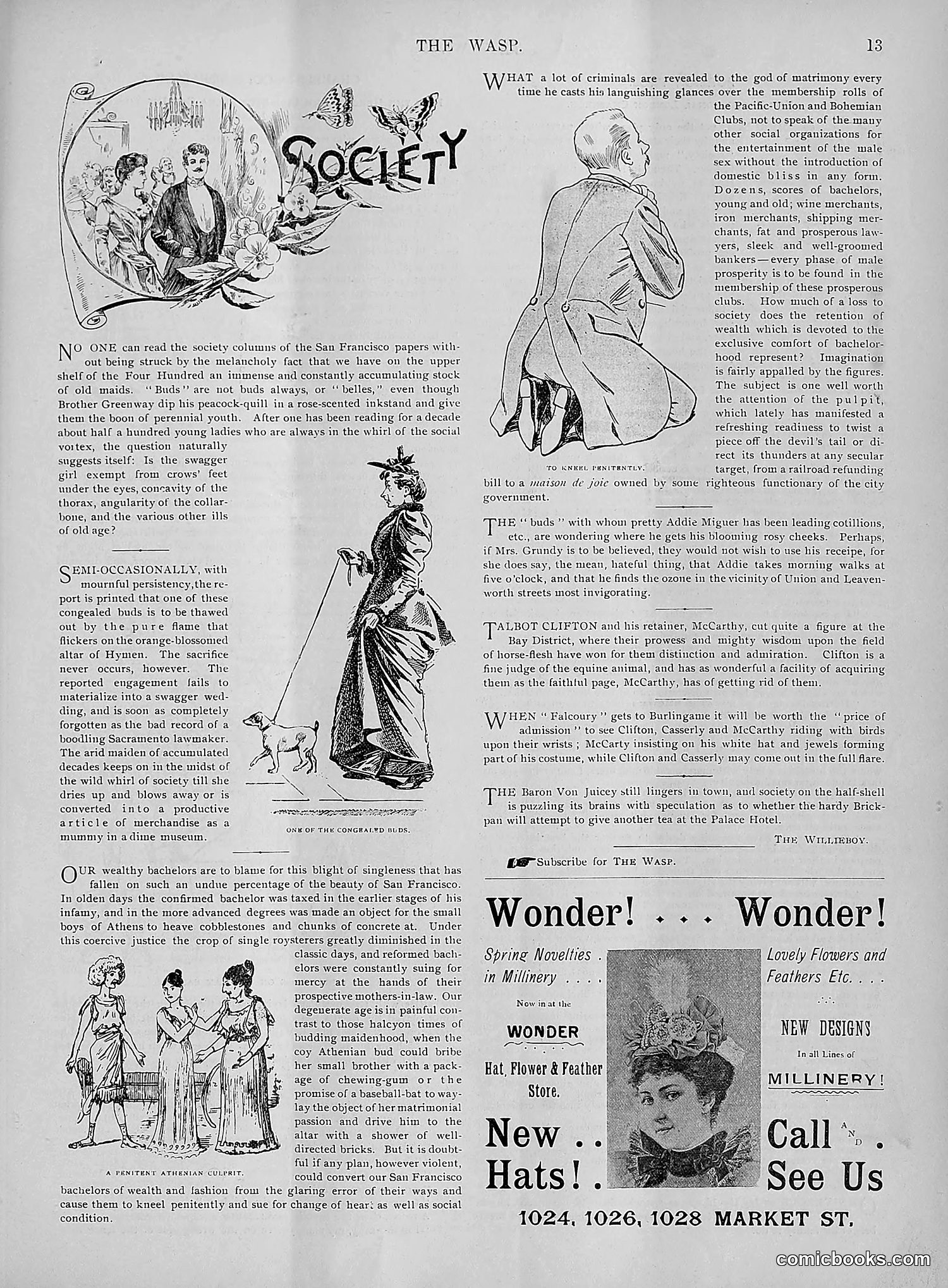 The Wasp — 1895 — page 258 of 1100
