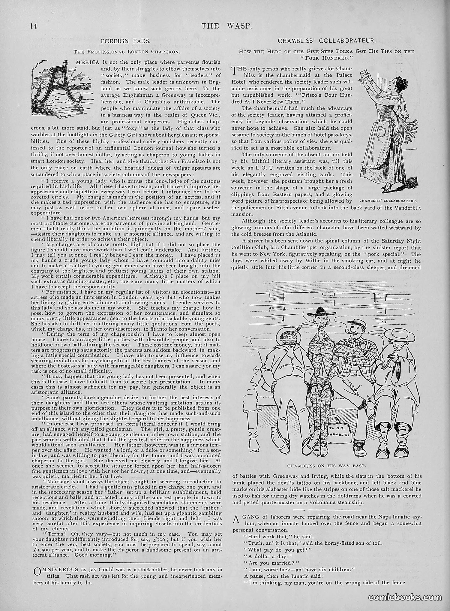 The Wasp — 1895 — page 259 of 1100