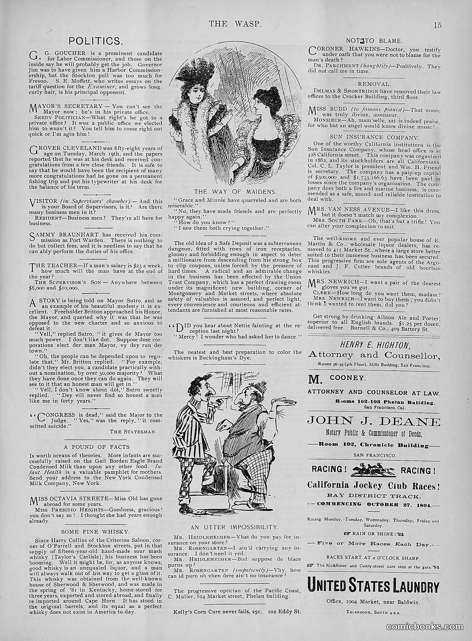 The Wasp — 1895 — page 260 of 1100