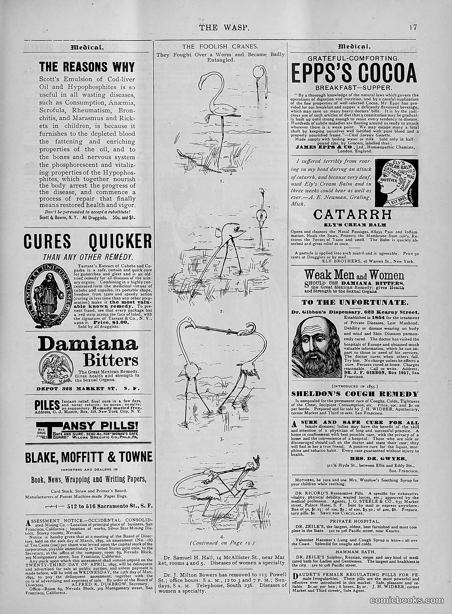 The Wasp — 1895 — page 262 of 1100