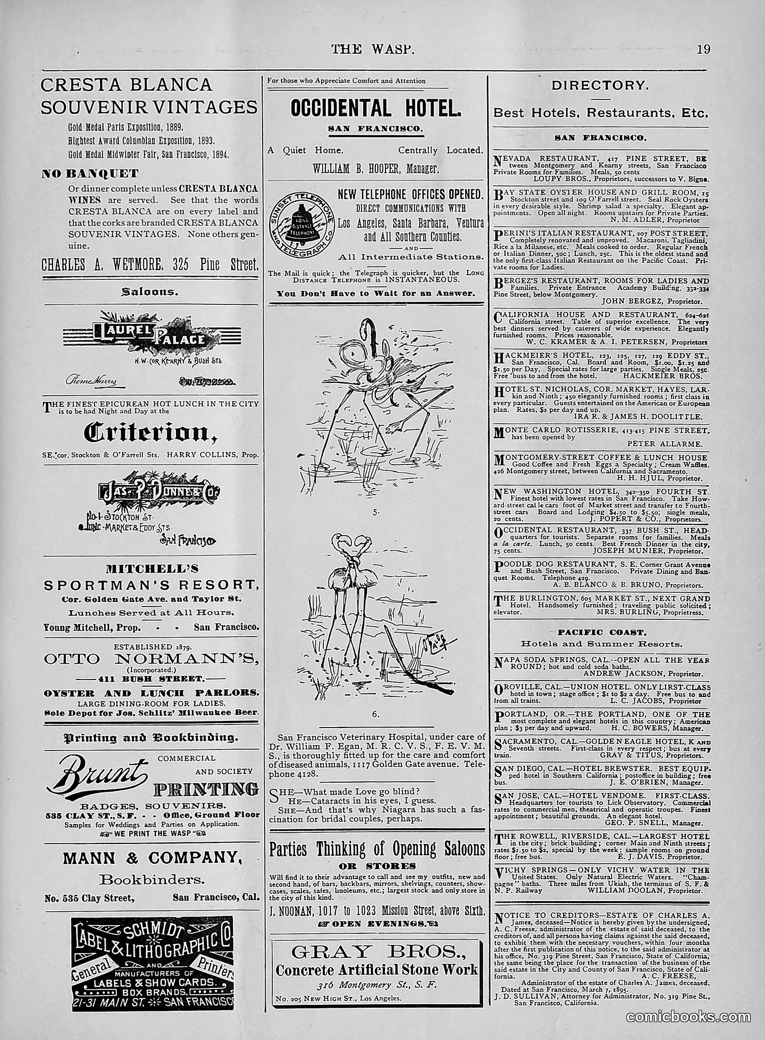 The Wasp — 1895 — page 264 of 1100