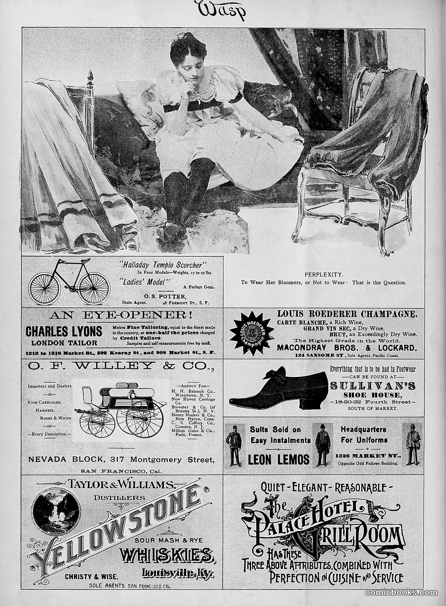 The Wasp — 1895 — page 265 of 1100