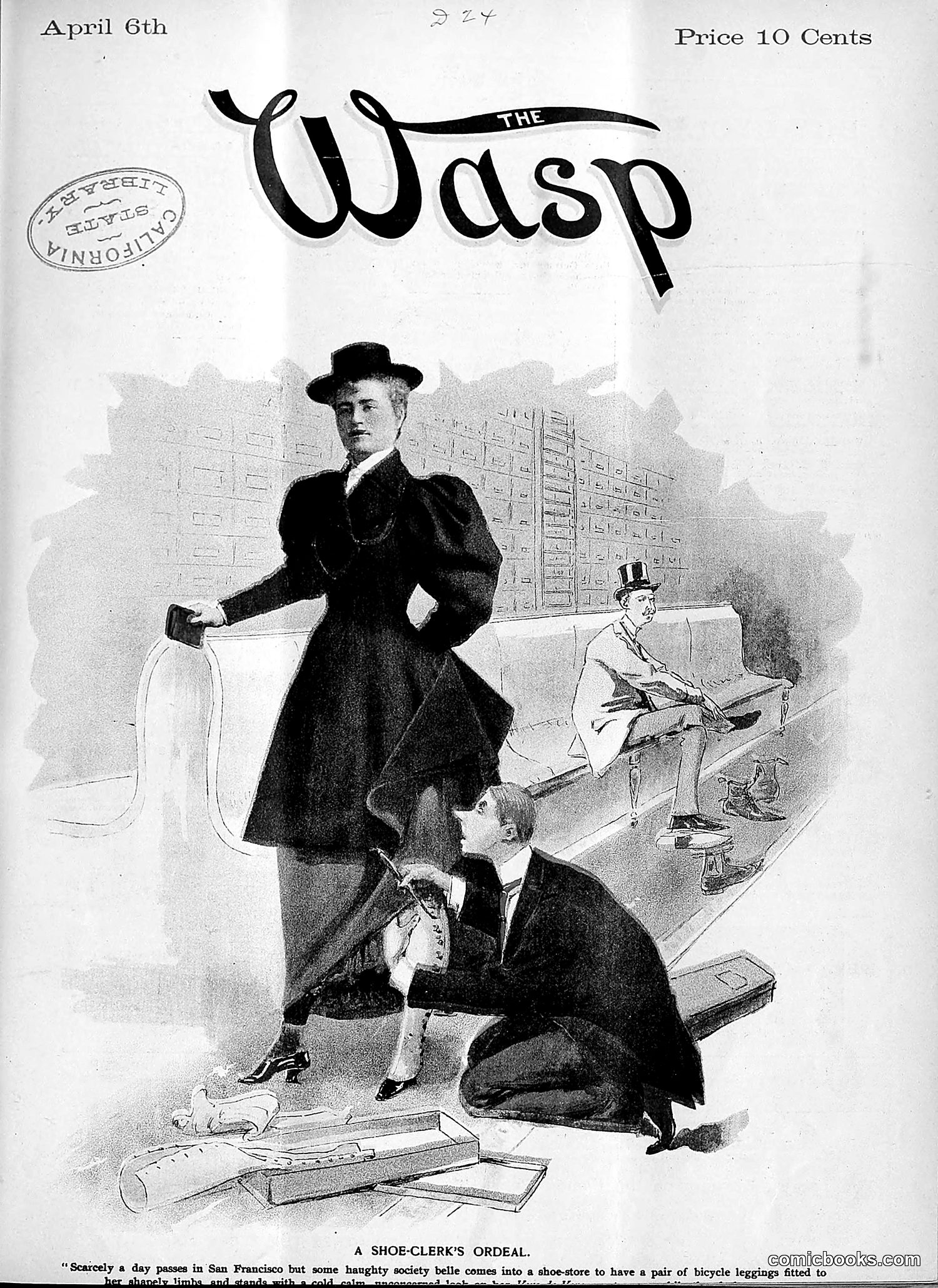 The Wasp — 1895 — page 266 of 1100