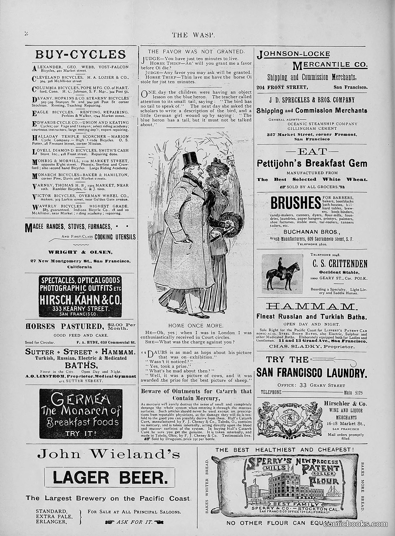 The Wasp — 1895 — page 267 of 1100