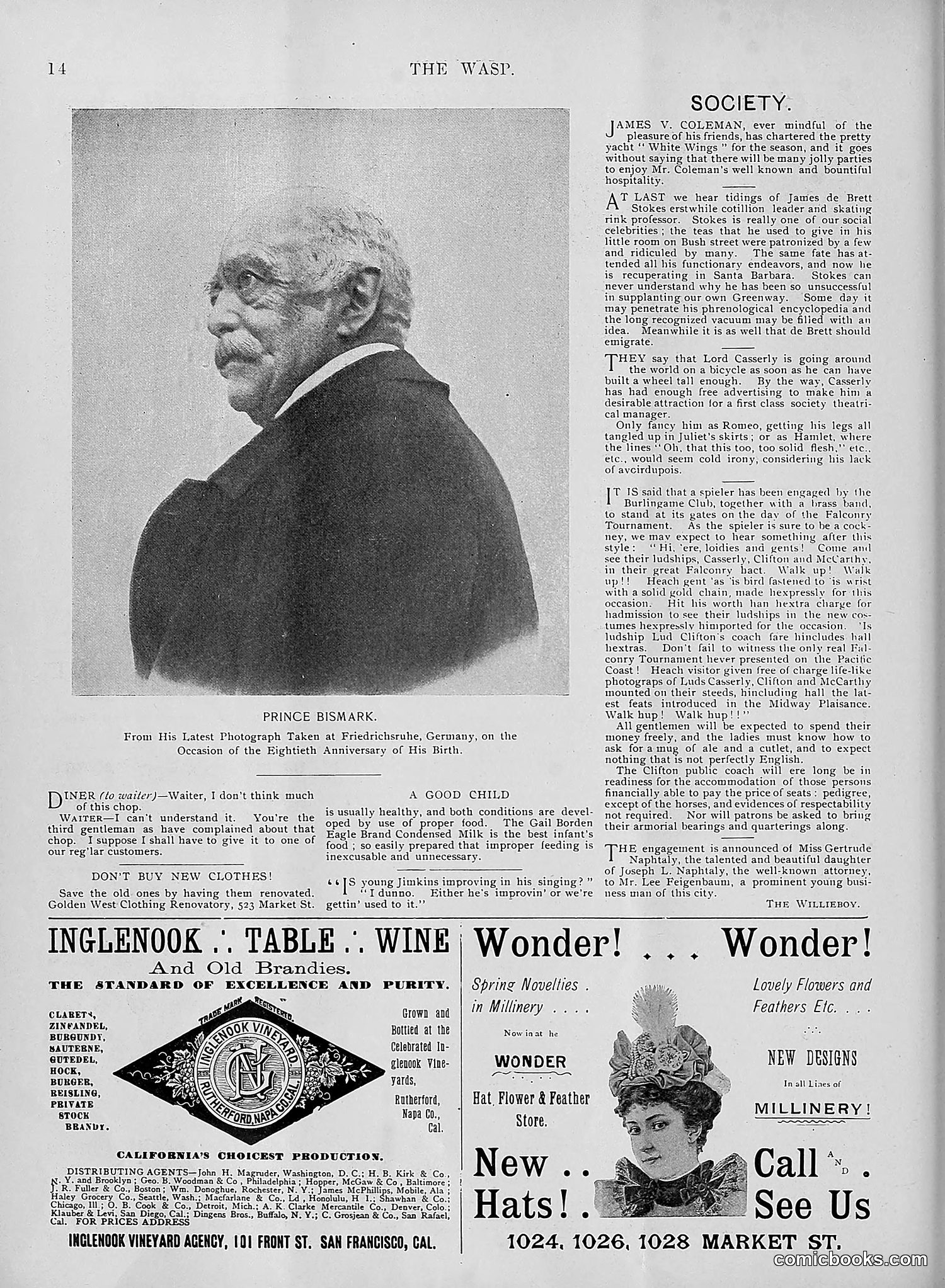 The Wasp — 1895 — page 279 of 1100