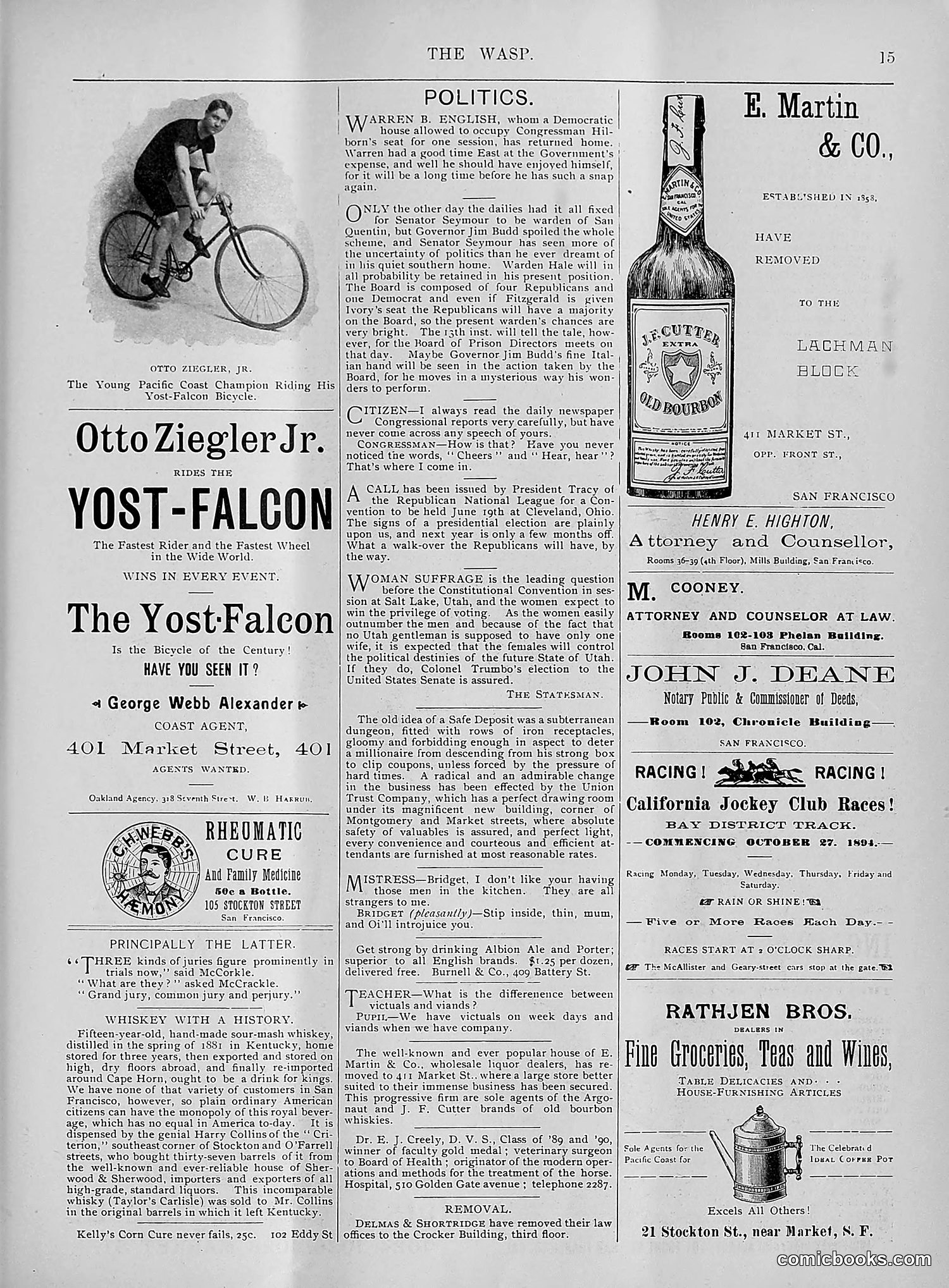 The Wasp — 1895 — page 280 of 1100