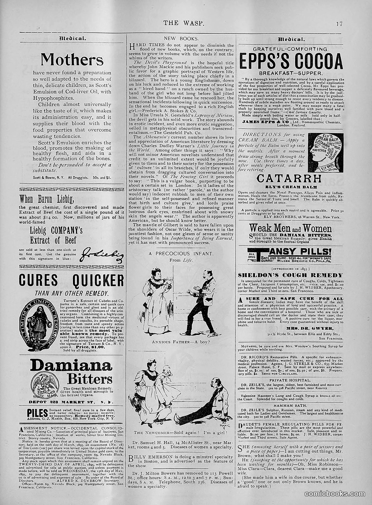 The Wasp — 1895 — page 282 of 1100