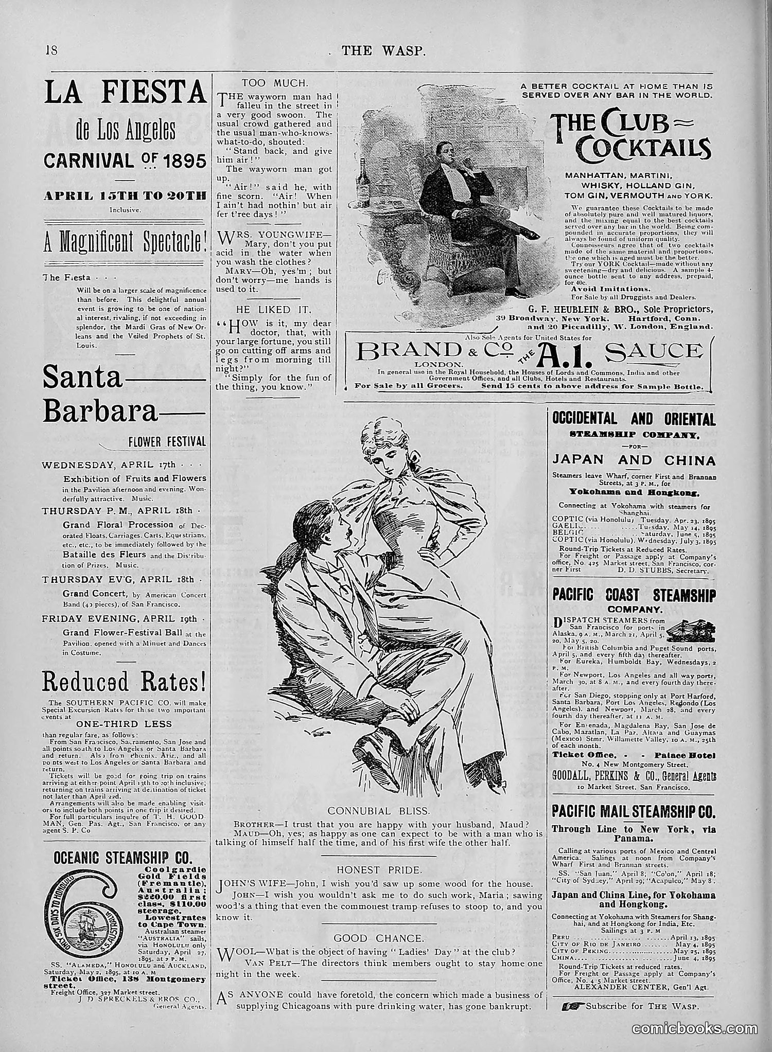 The Wasp — 1895 — page 283 of 1100