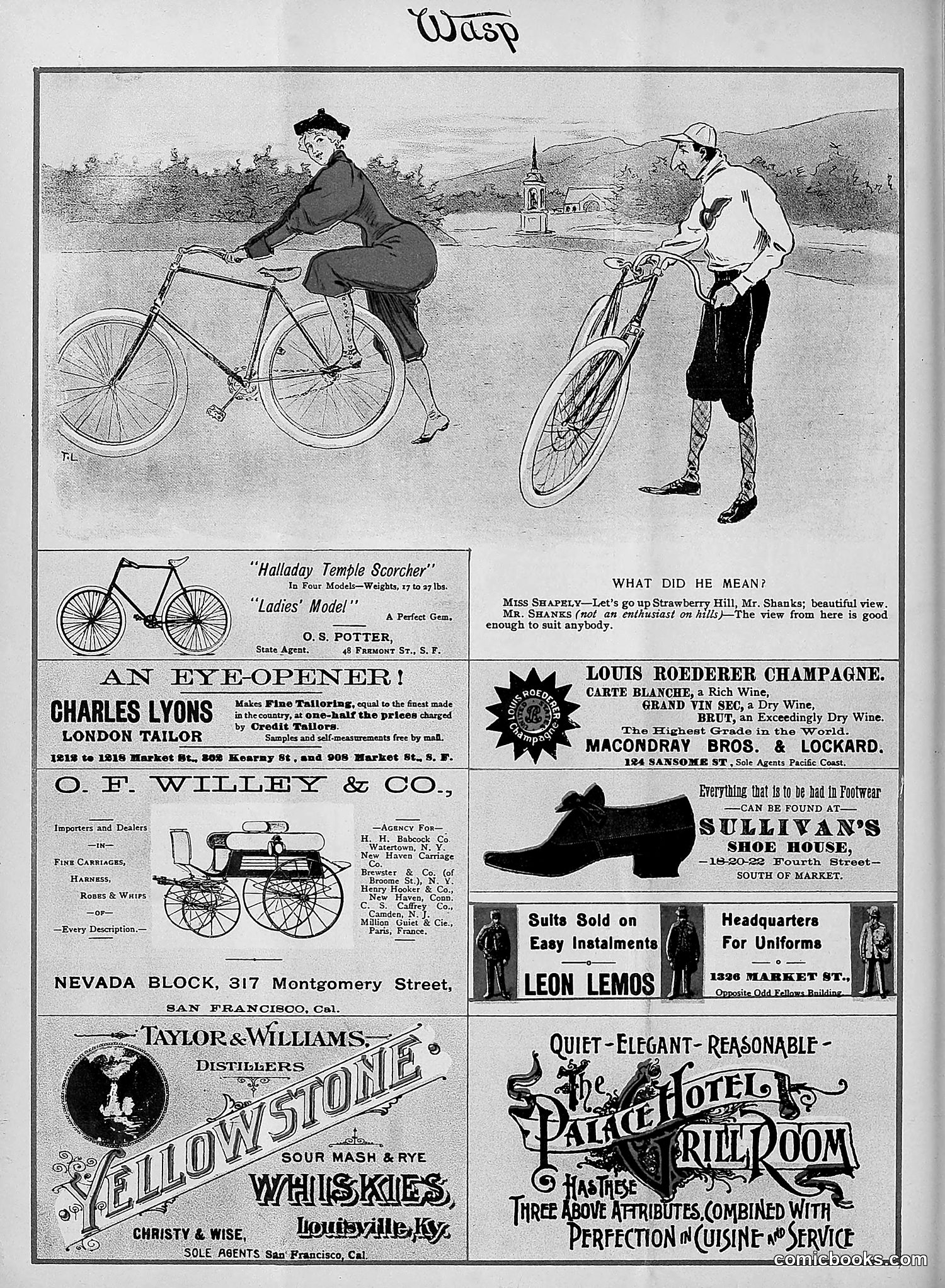 The Wasp — 1895 — page 285 of 1100