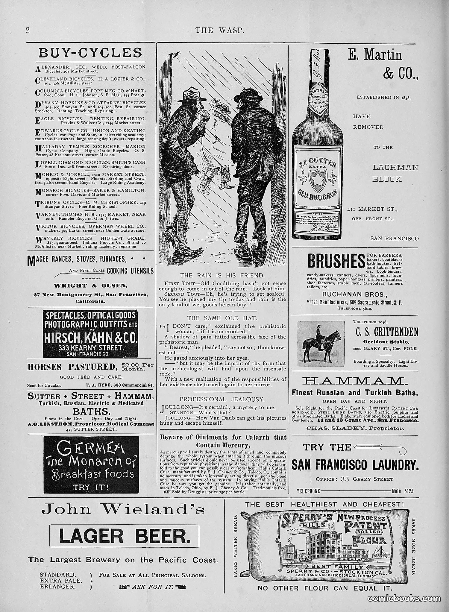 The Wasp — 1895 — page 287 of 1100