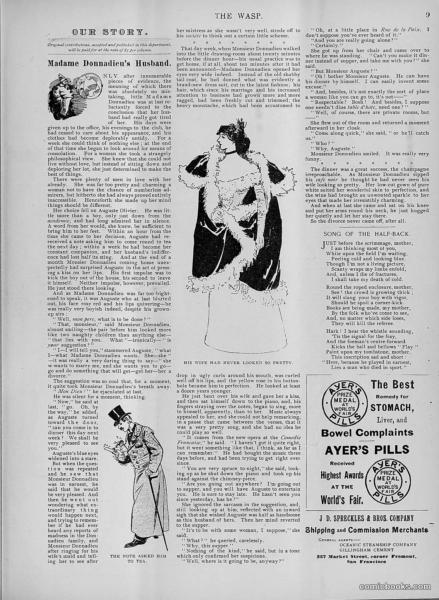 The Wasp — 1895 — page 294 of 1100