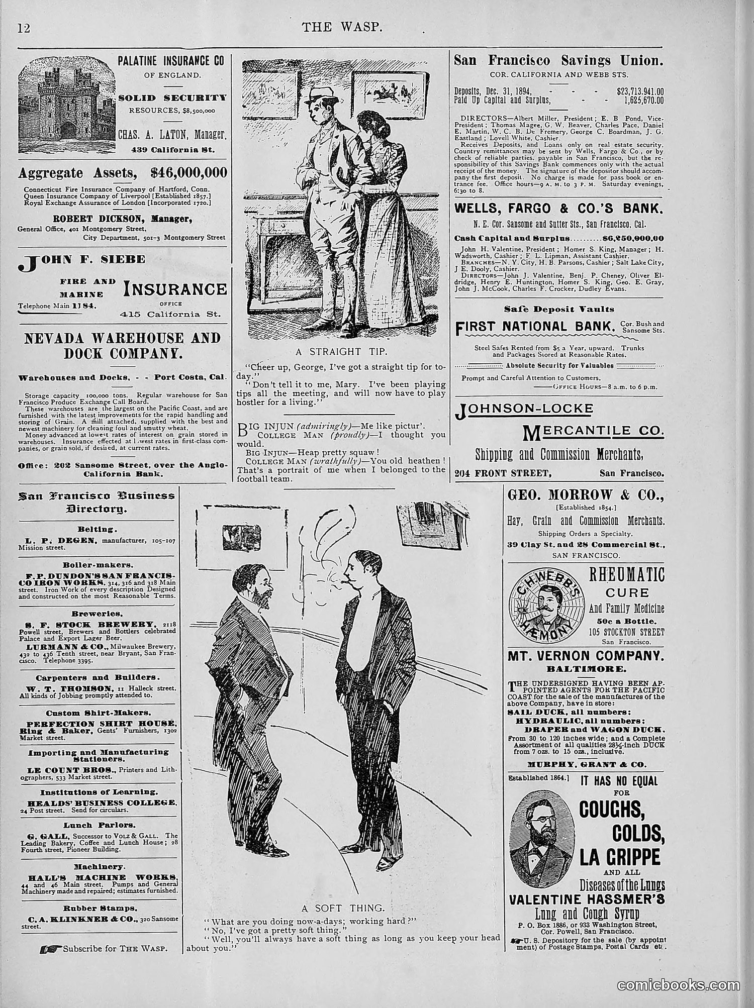The Wasp — 1895 — page 297 of 1100