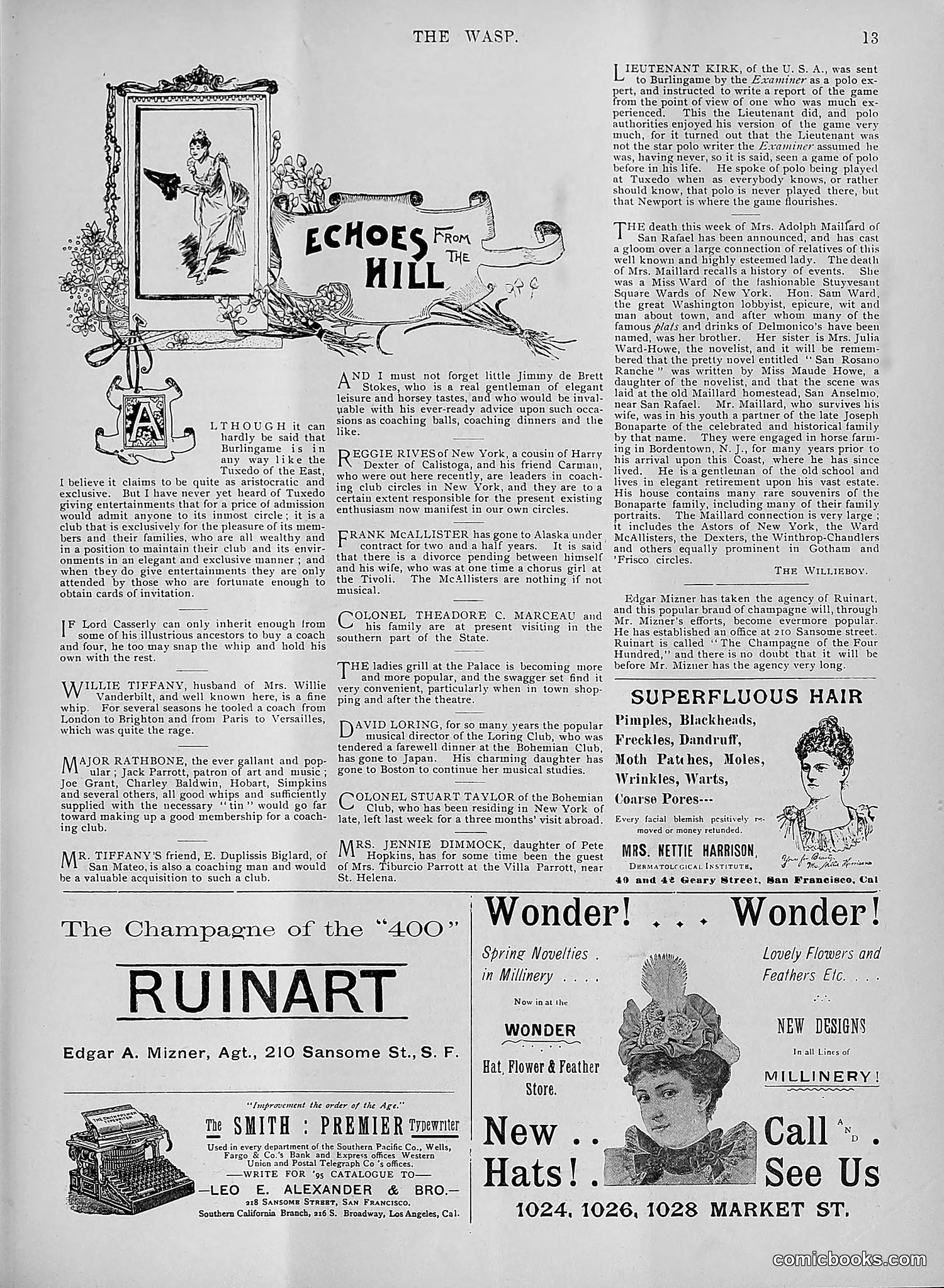 The Wasp — 1895 — page 298 of 1100