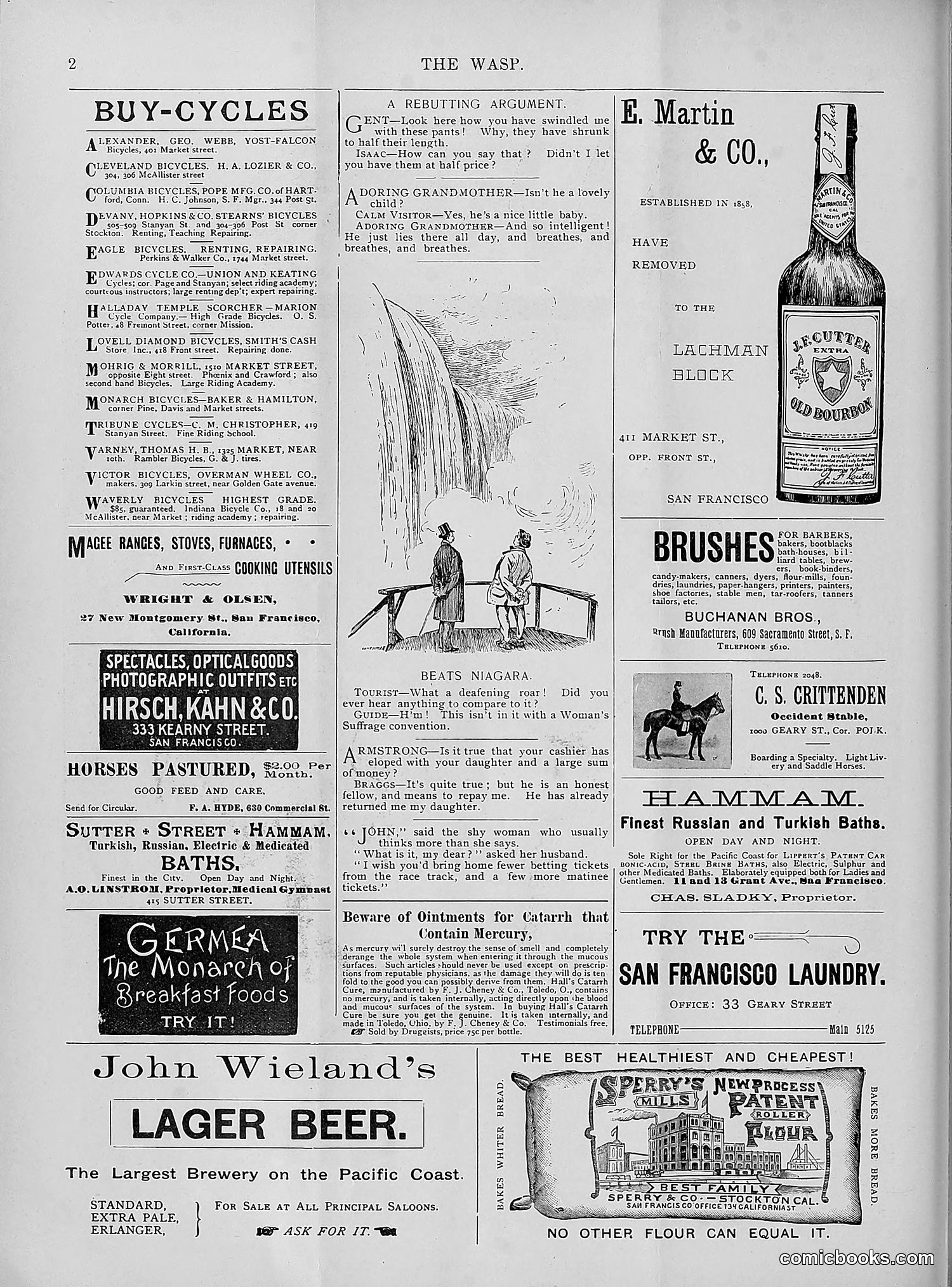 The Wasp — 1895 — page 307 of 1100