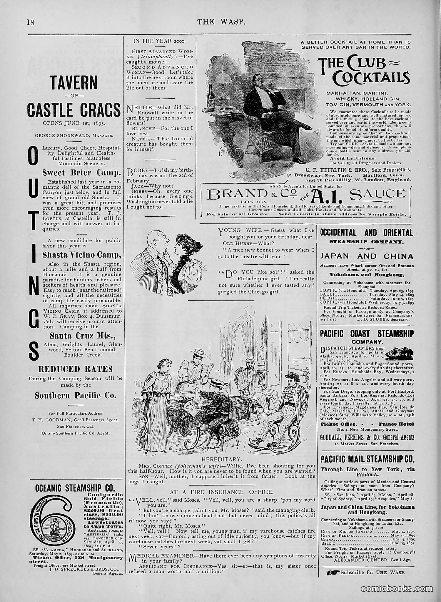 The Wasp — 1895 — page 323 of 1100