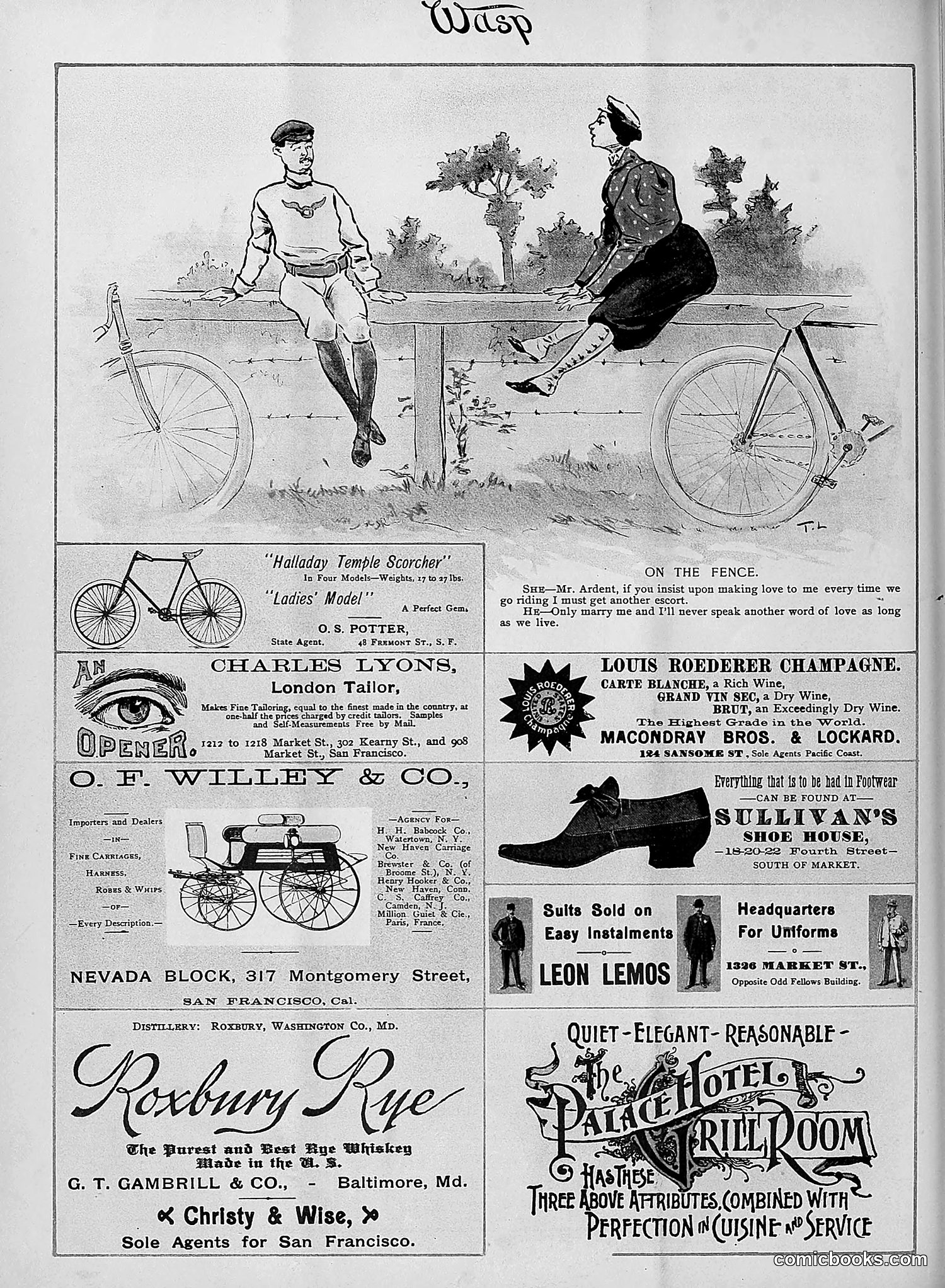 The Wasp — 1895 — page 325 of 1100
