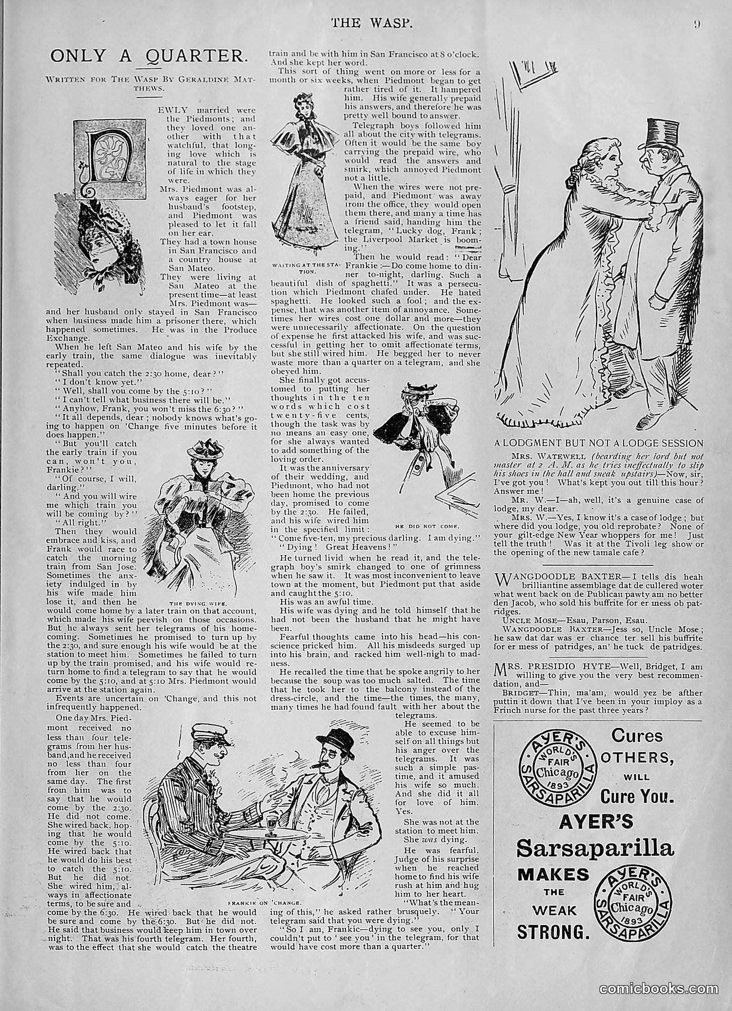 The Wasp — 1895 — page 34 of 1100