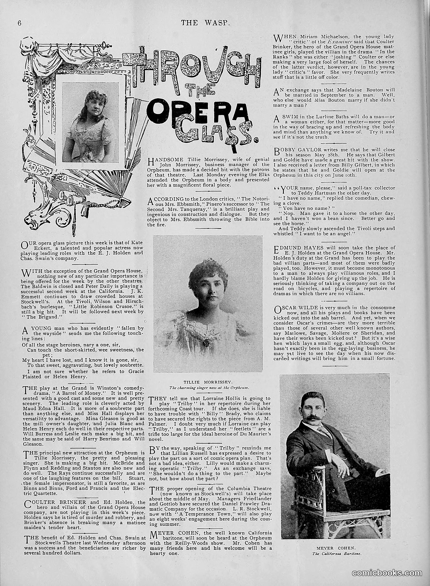 The Wasp — 1895 — page 331 of 1100