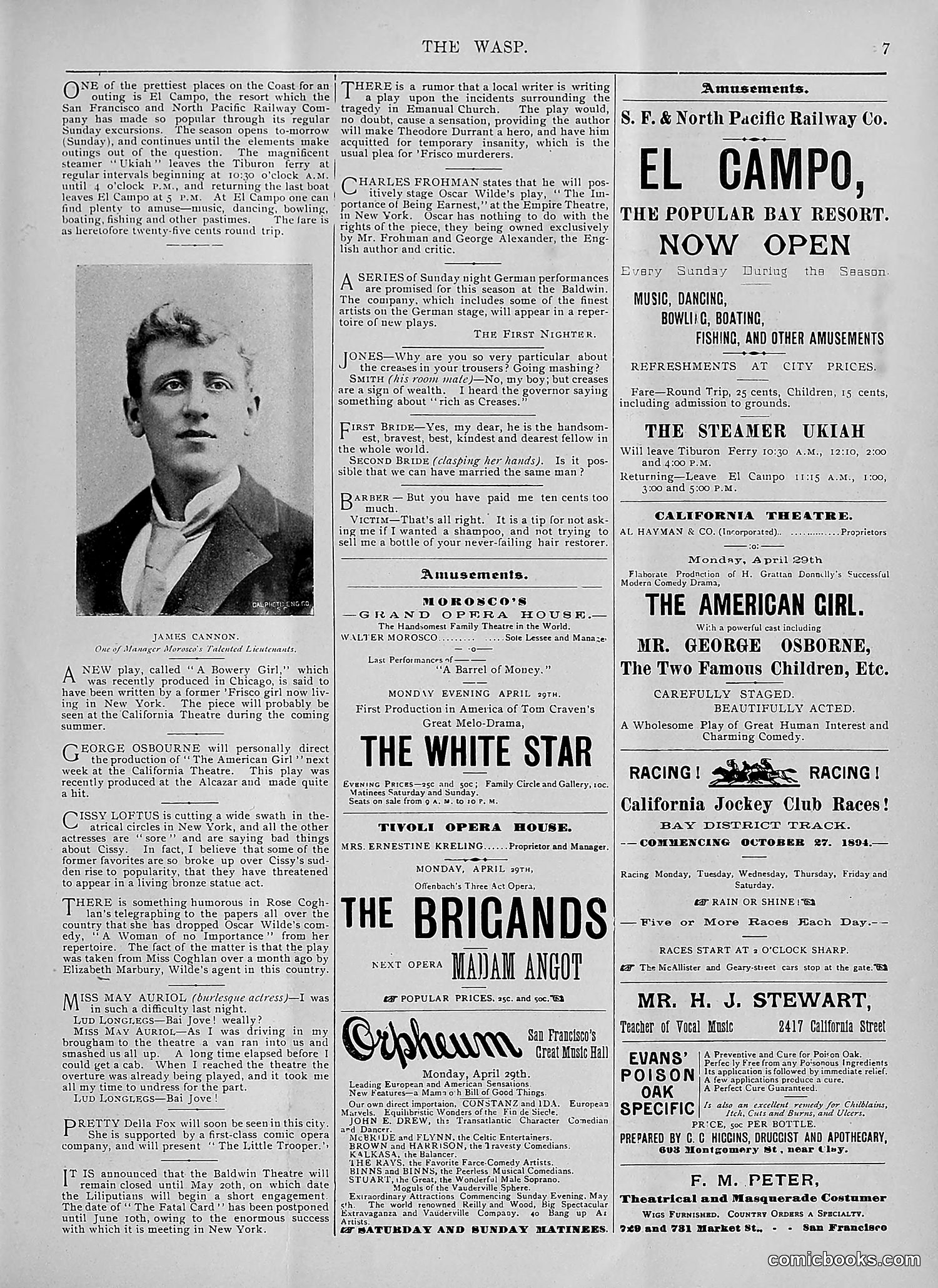 The Wasp — 1895 — page 332 of 1100