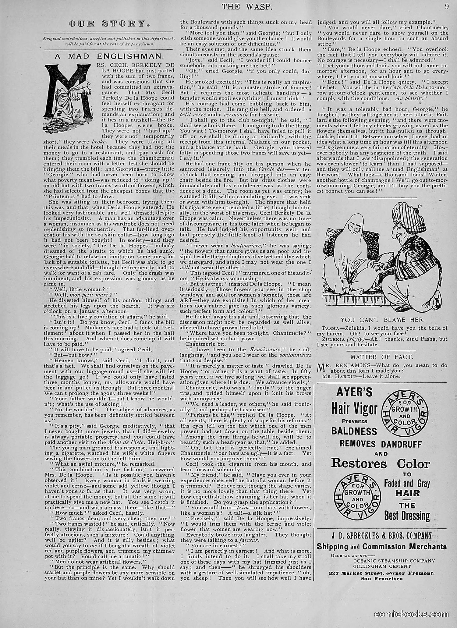 The Wasp — 1895 — page 334 of 1100
