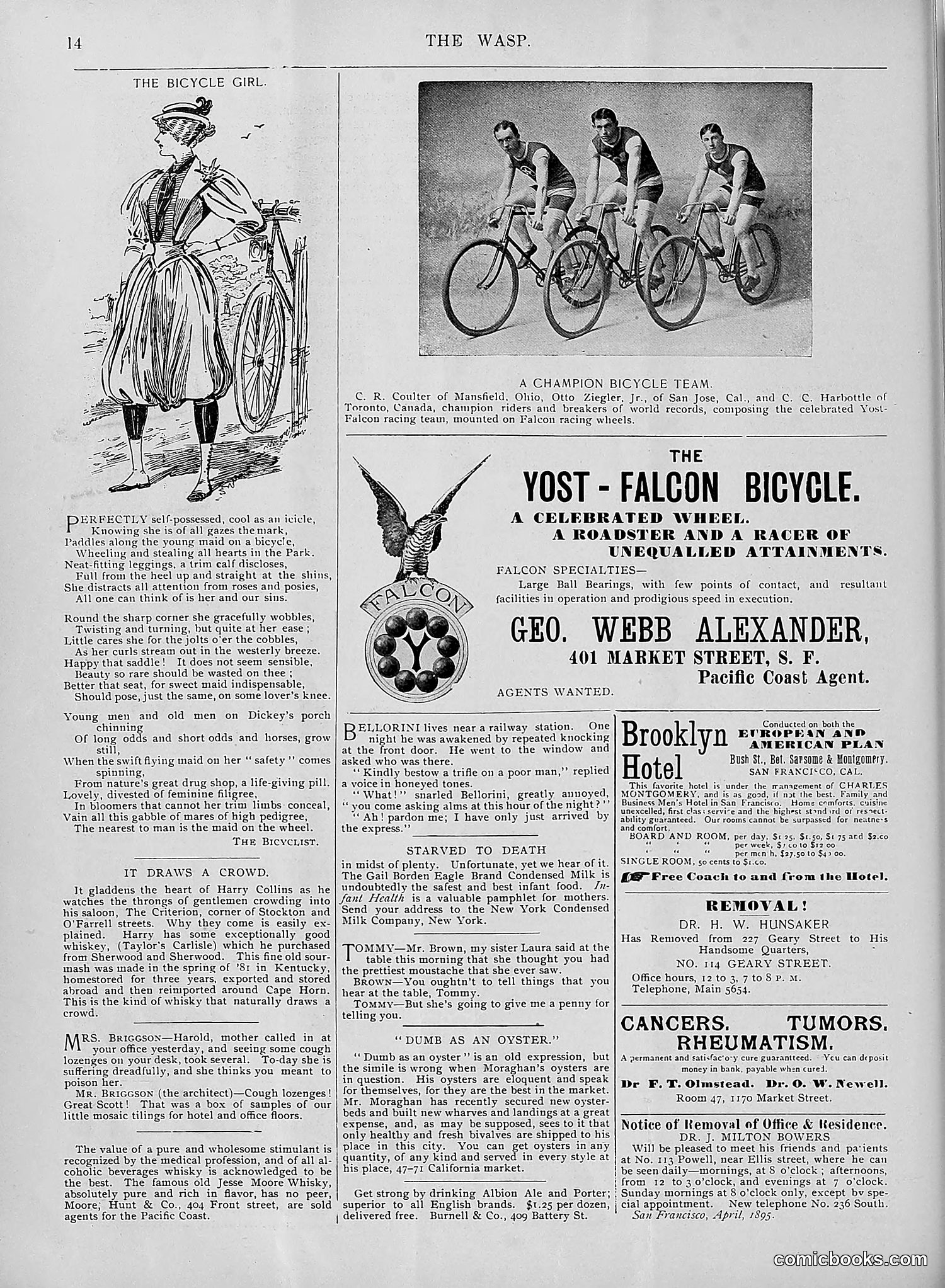 The Wasp — 1895 — page 339 of 1100