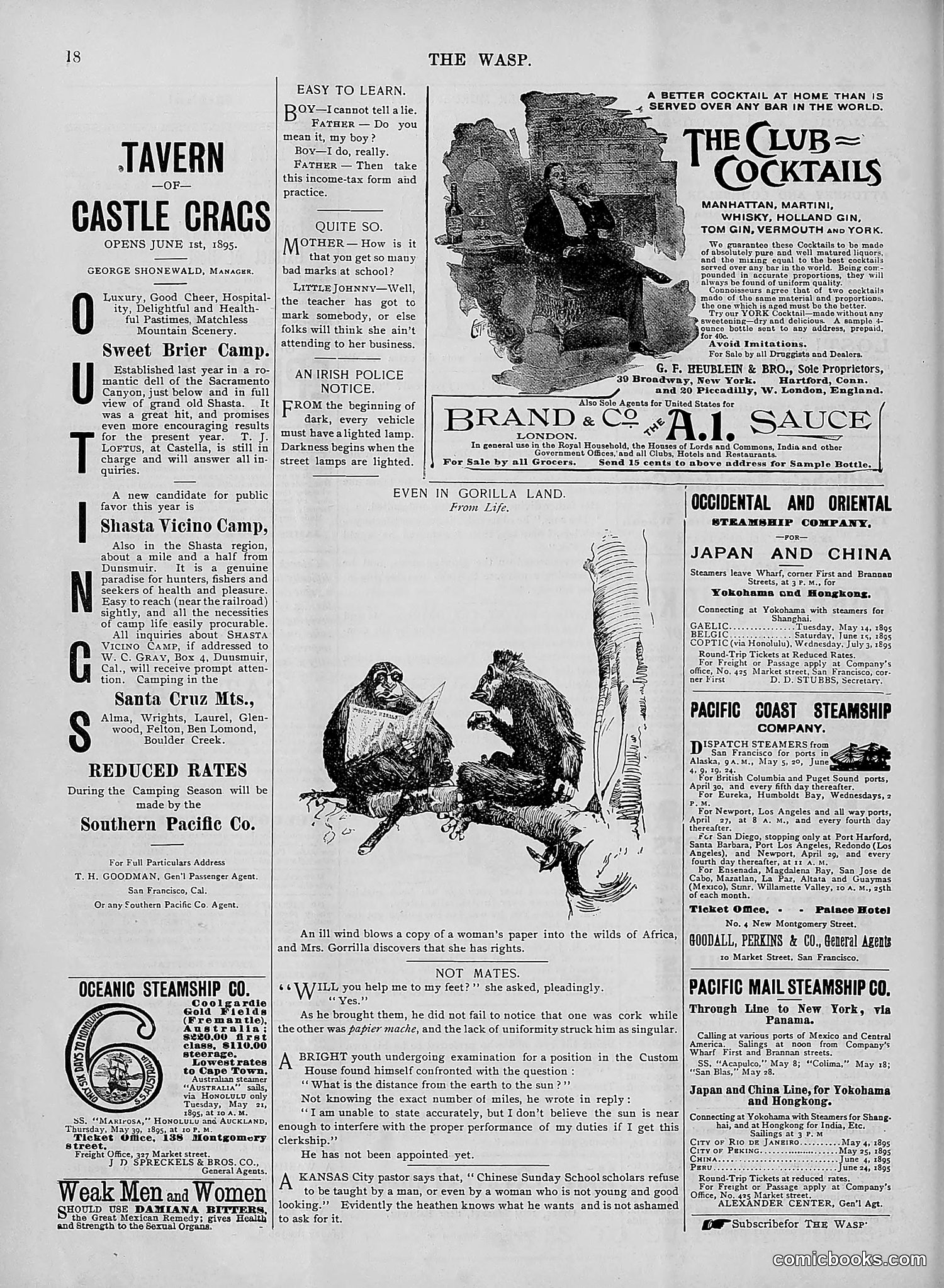 The Wasp — 1895 — page 363 of 1100