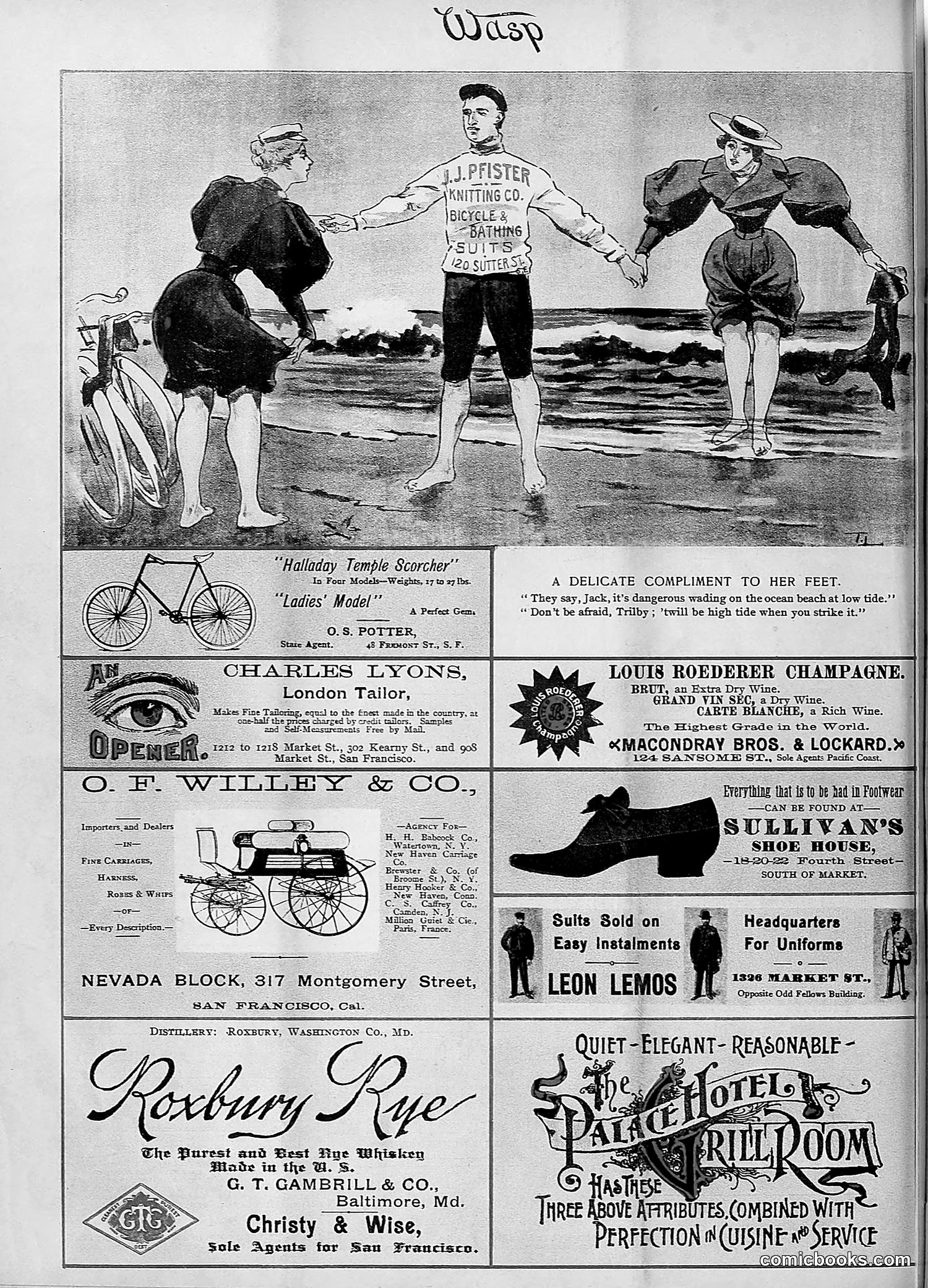 The Wasp — 1895 — page 365 of 1100