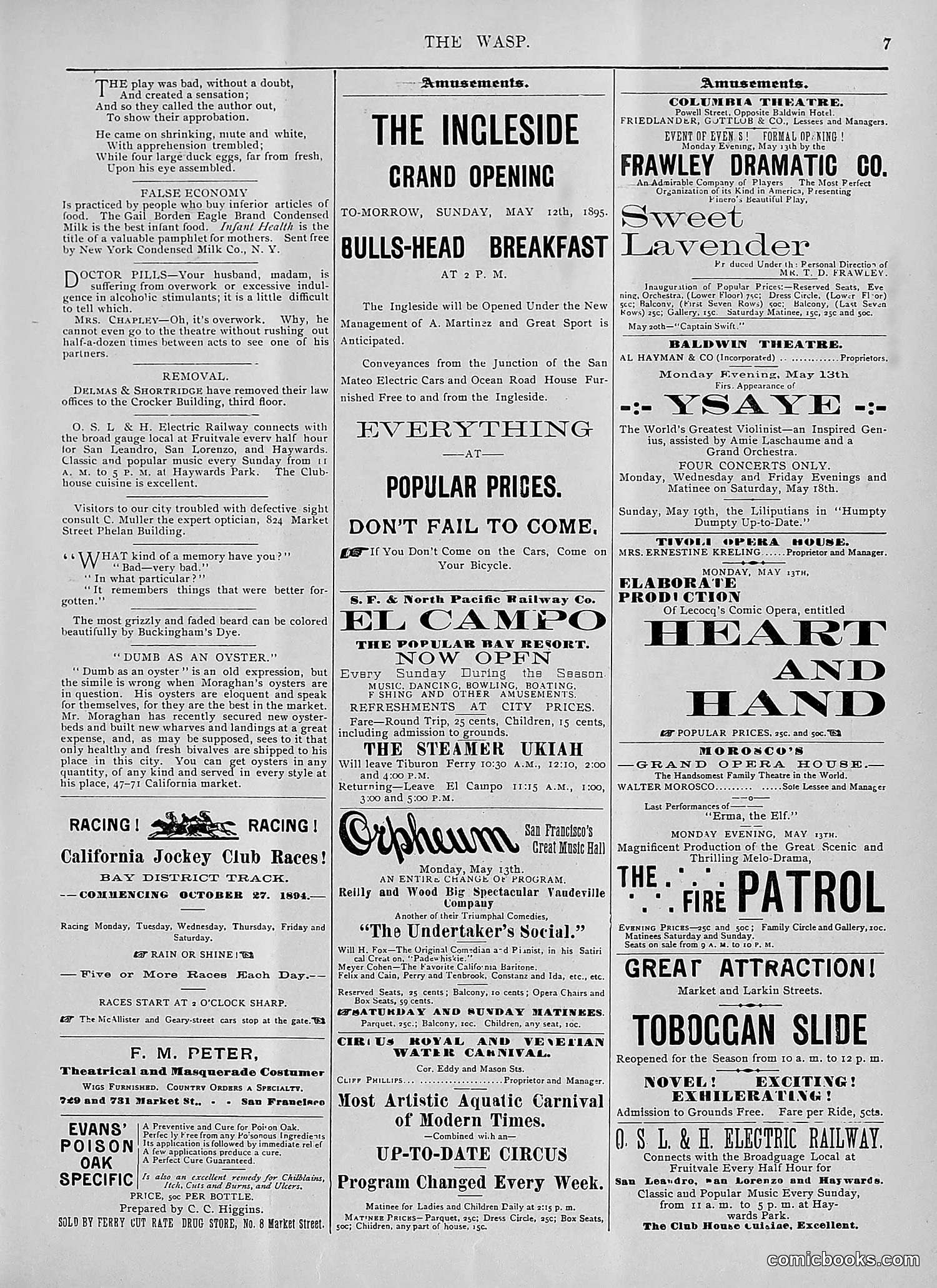 The Wasp — 1895 — page 372 of 1100
