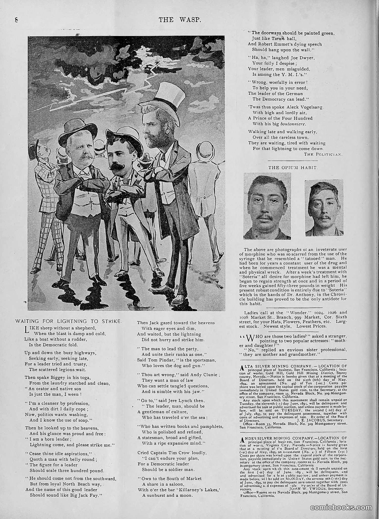 The Wasp — 1895 — page 373 of 1100