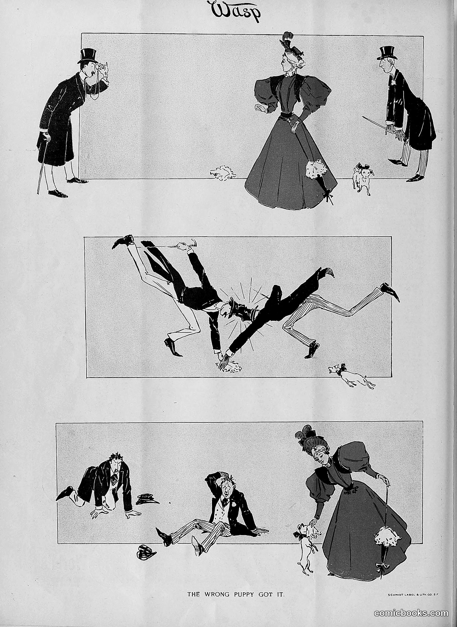 The Wasp — 1895 — page 375 of 1100